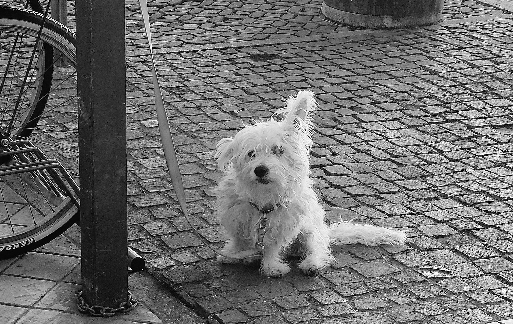 I feel like I'm hearing...