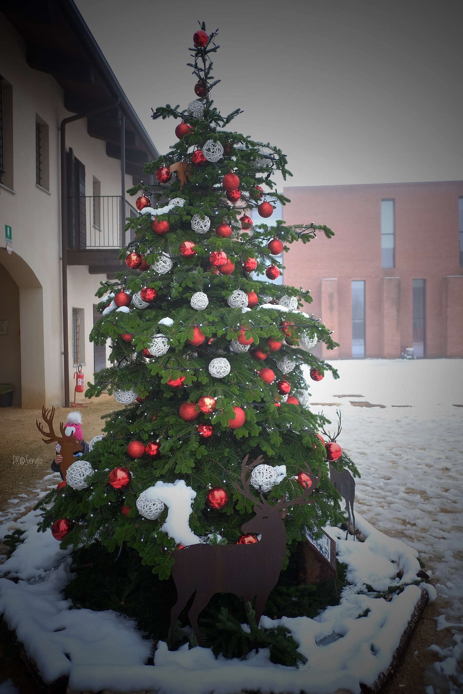 Christmas in novara