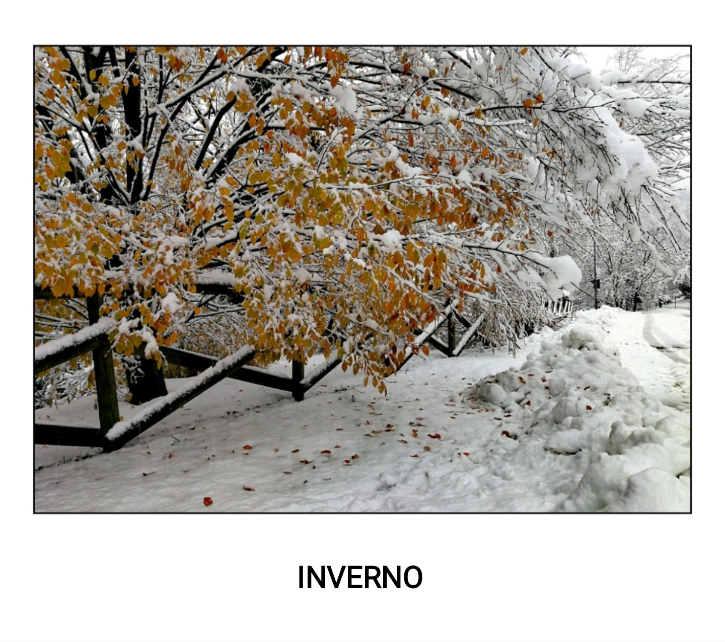 Inverno