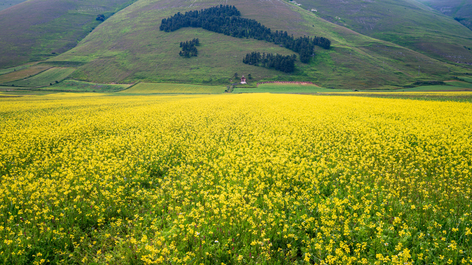 Catselluccio di Norcia