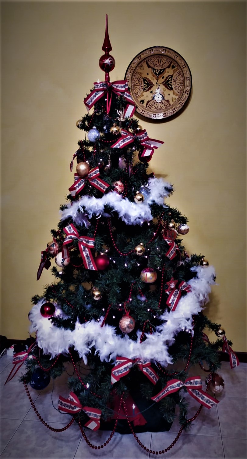 il mio albero di Natale
