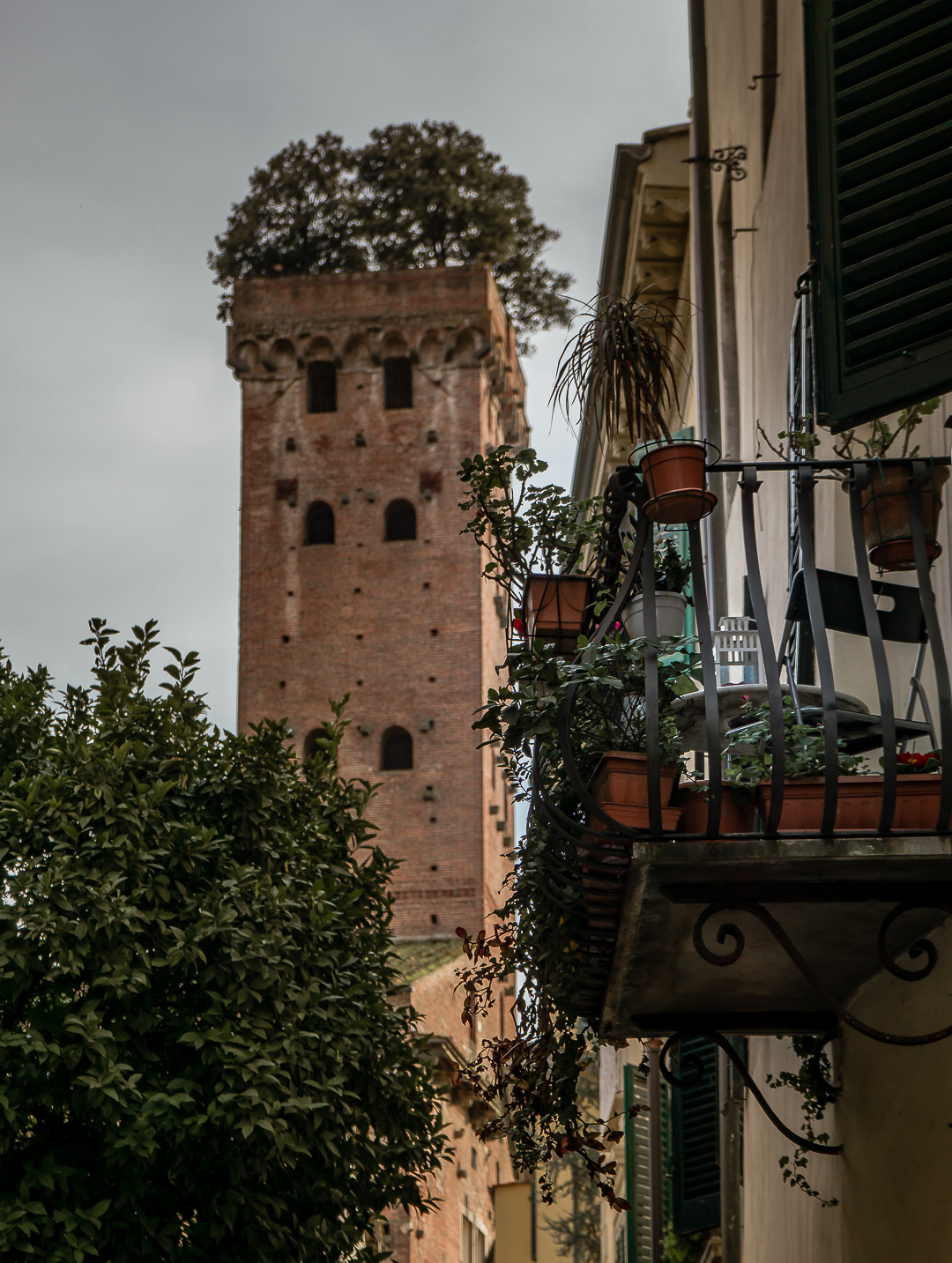 torre guinigi