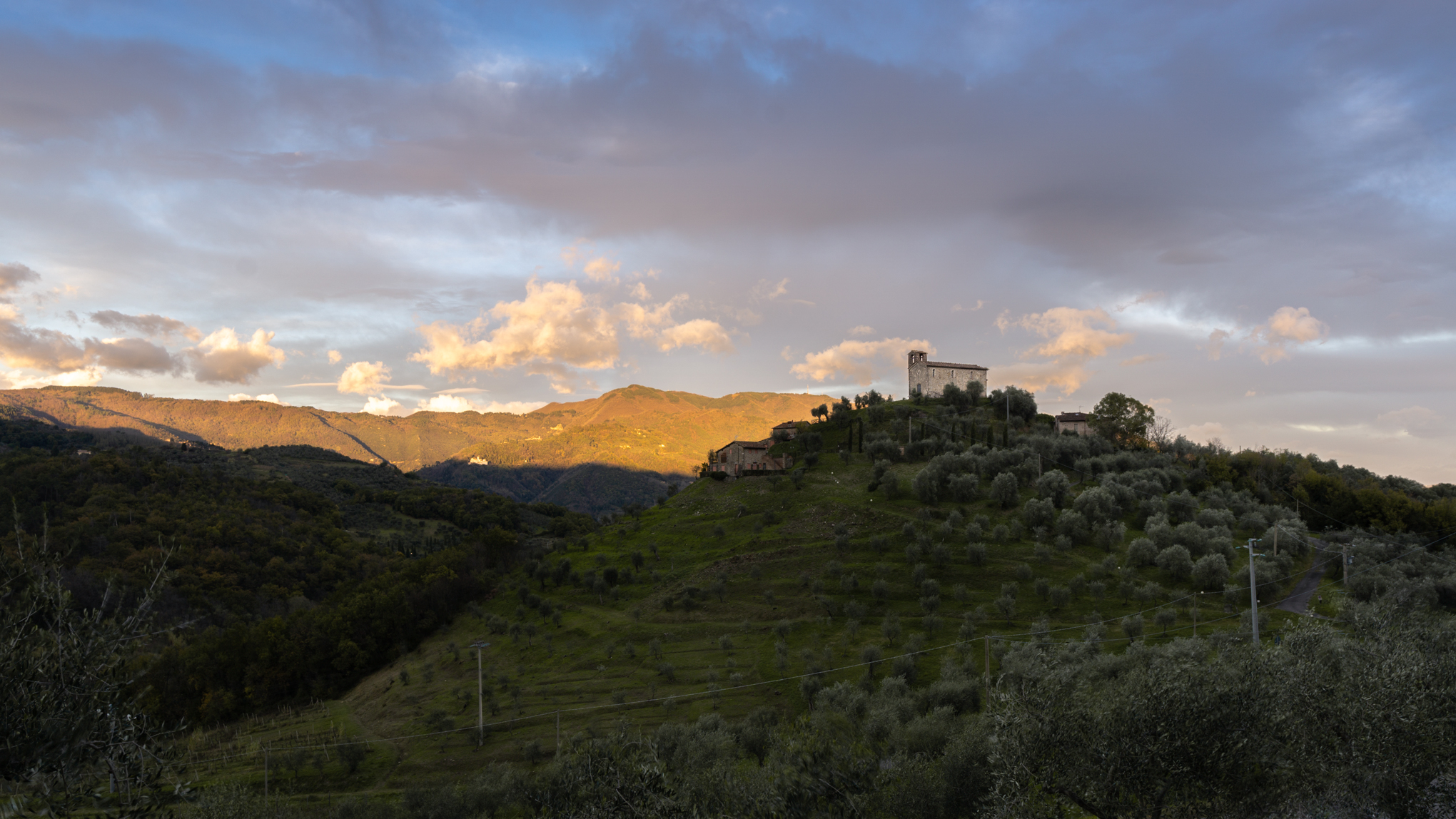Mammoli, Lucca