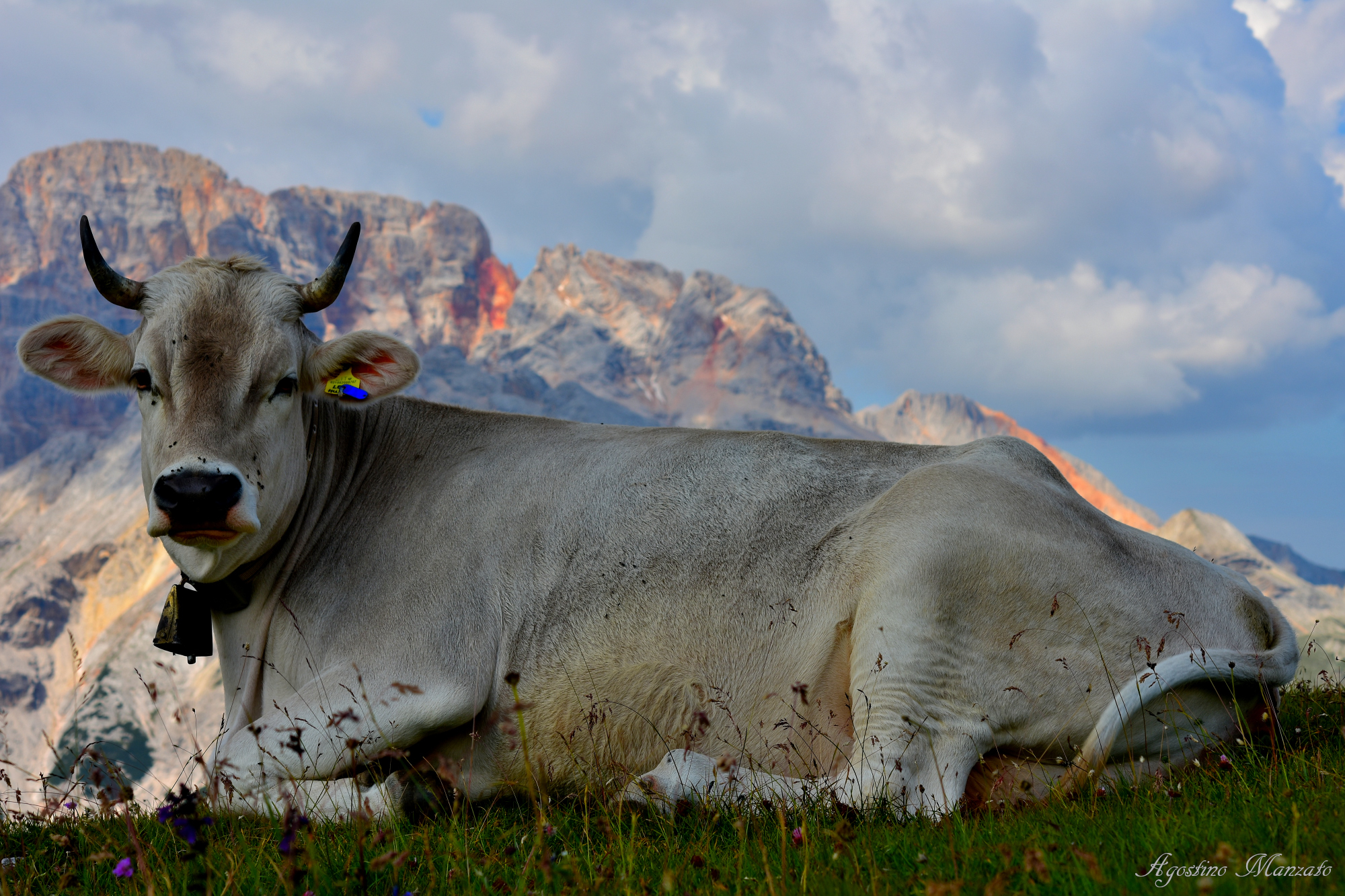 Il guardiano della Croda Rossa