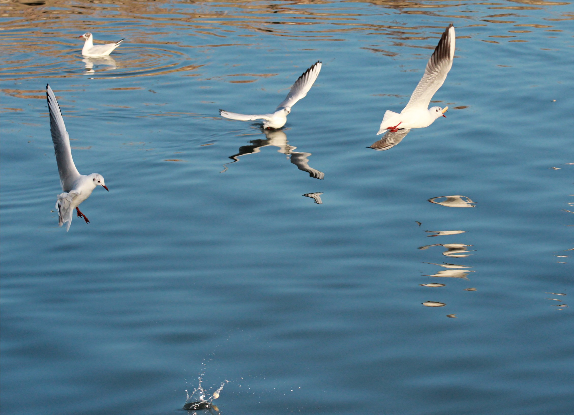 Do not take away a piece of bread