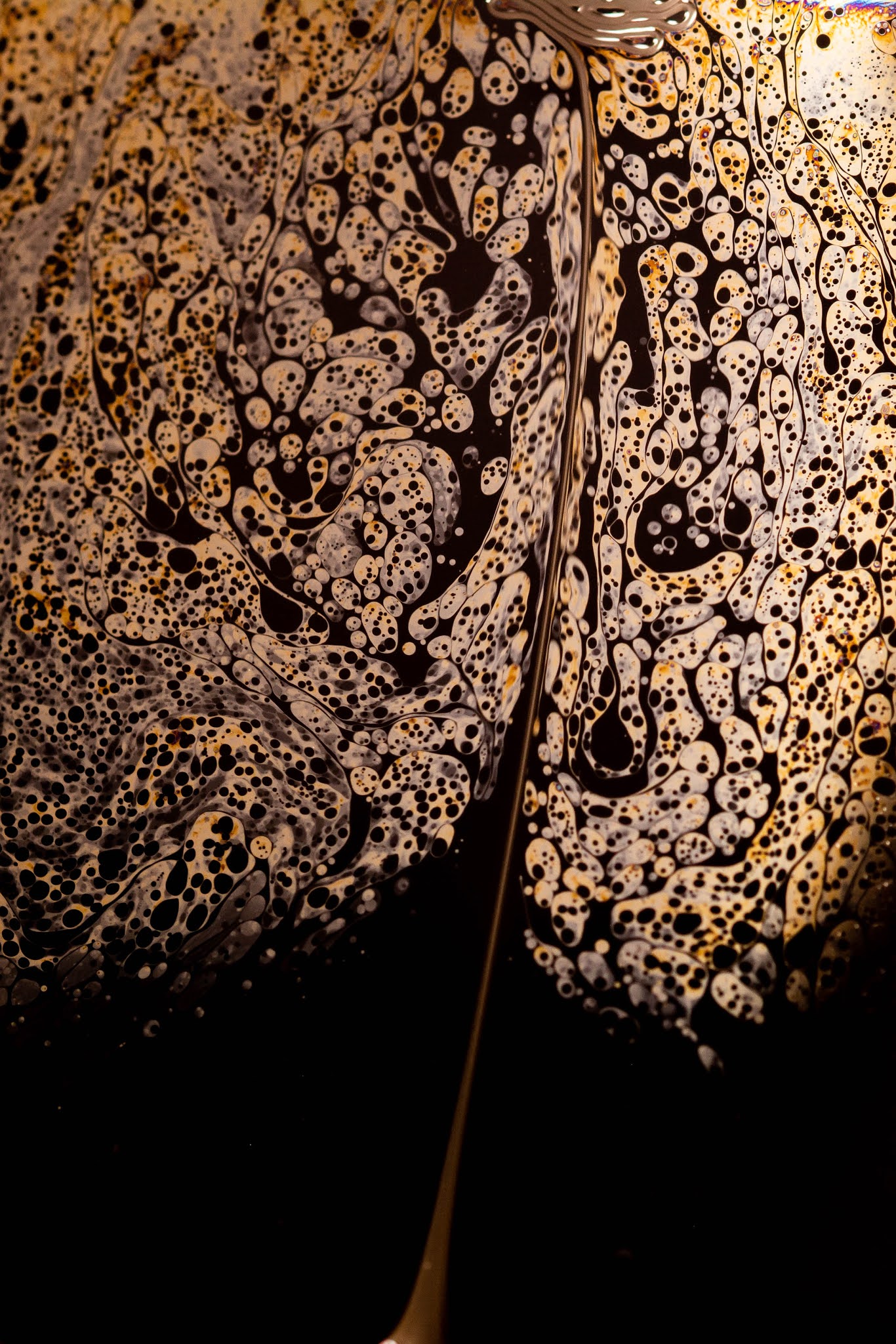 Una mela.. o una foglia