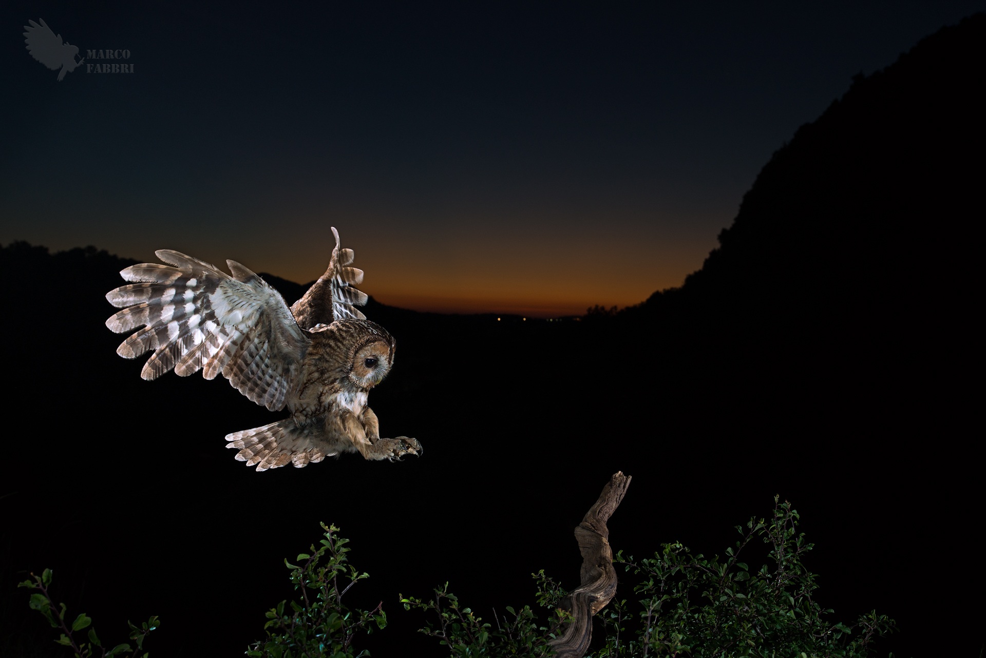 The Sunset of the Allocco