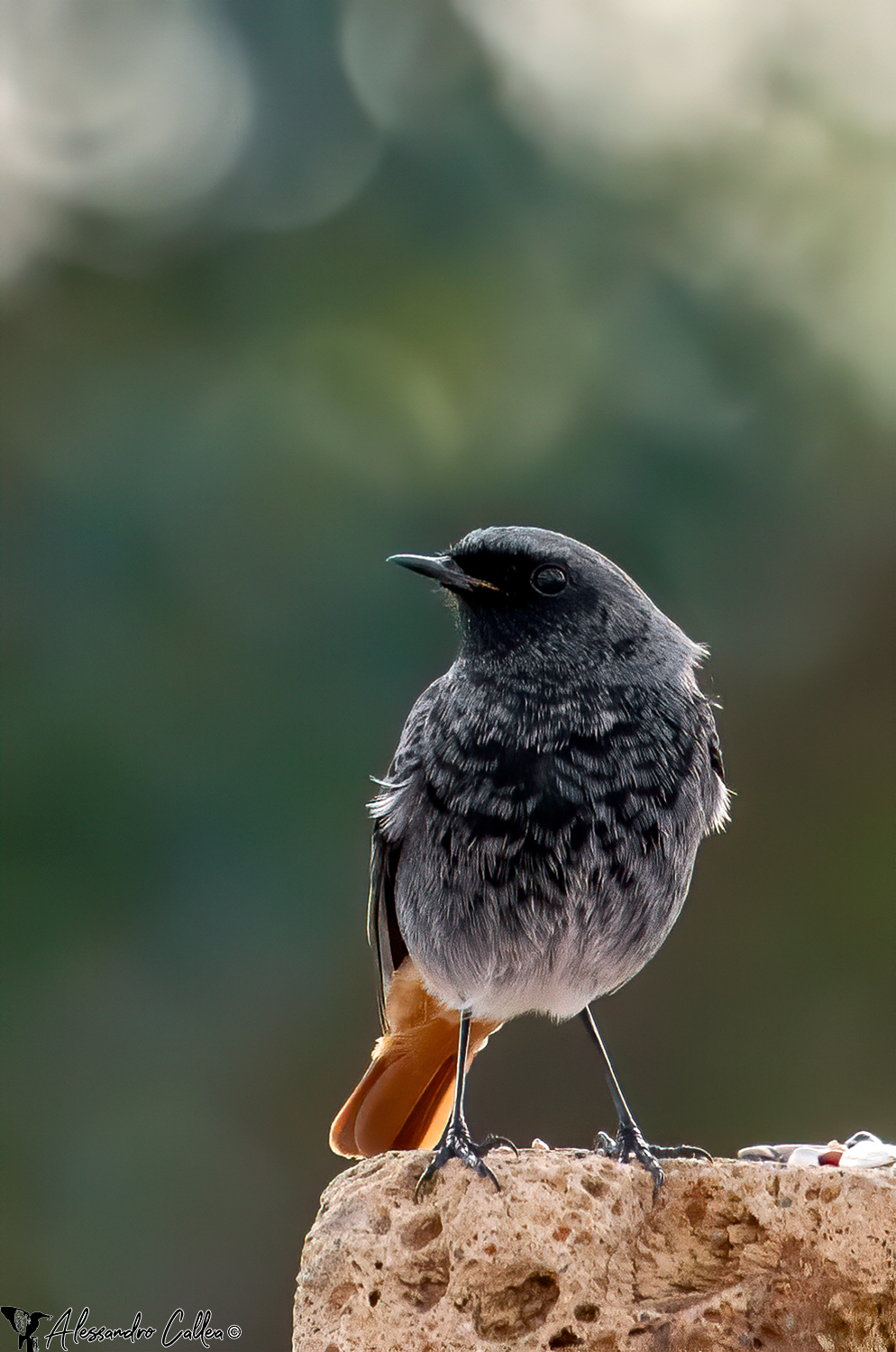 A test with some seed