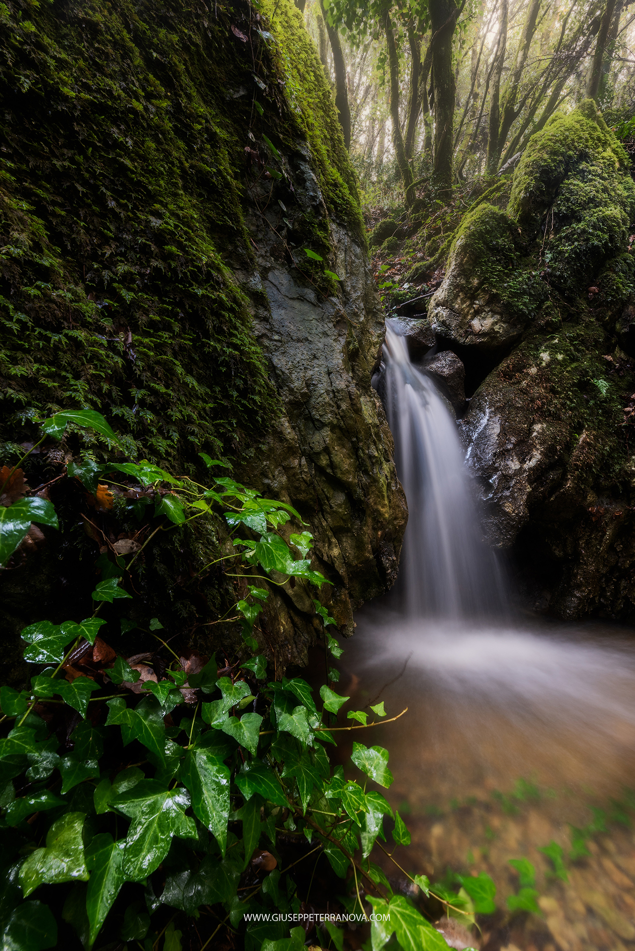 Waterfalls in the Woods