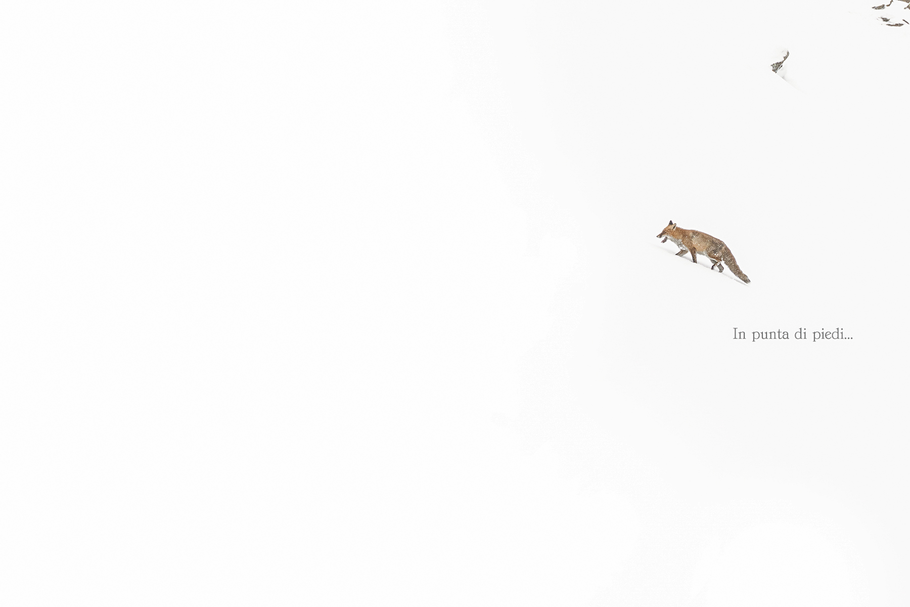 ripido anche per sorella Volpe - Sbuffavamo entrambi!