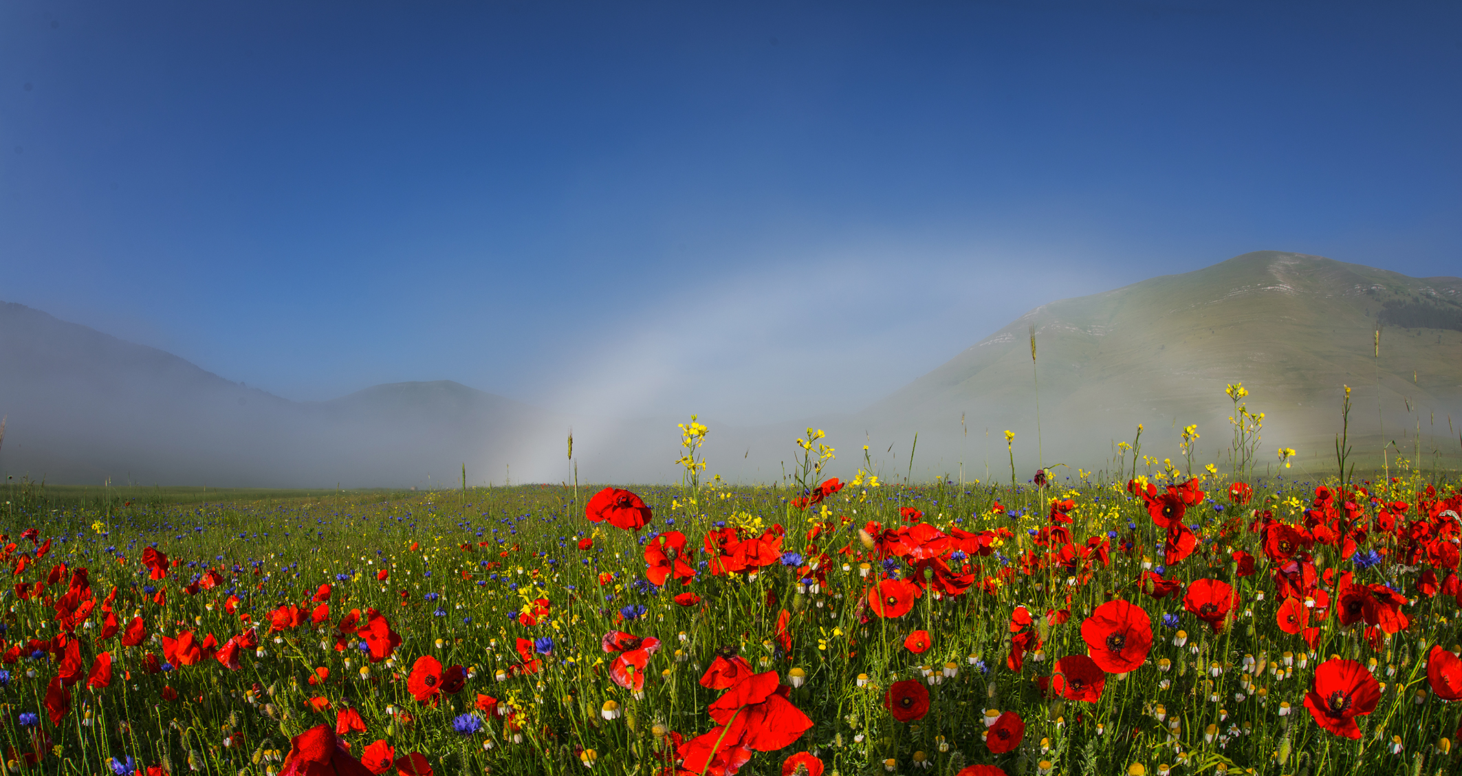 Arcobaleno di nebbia