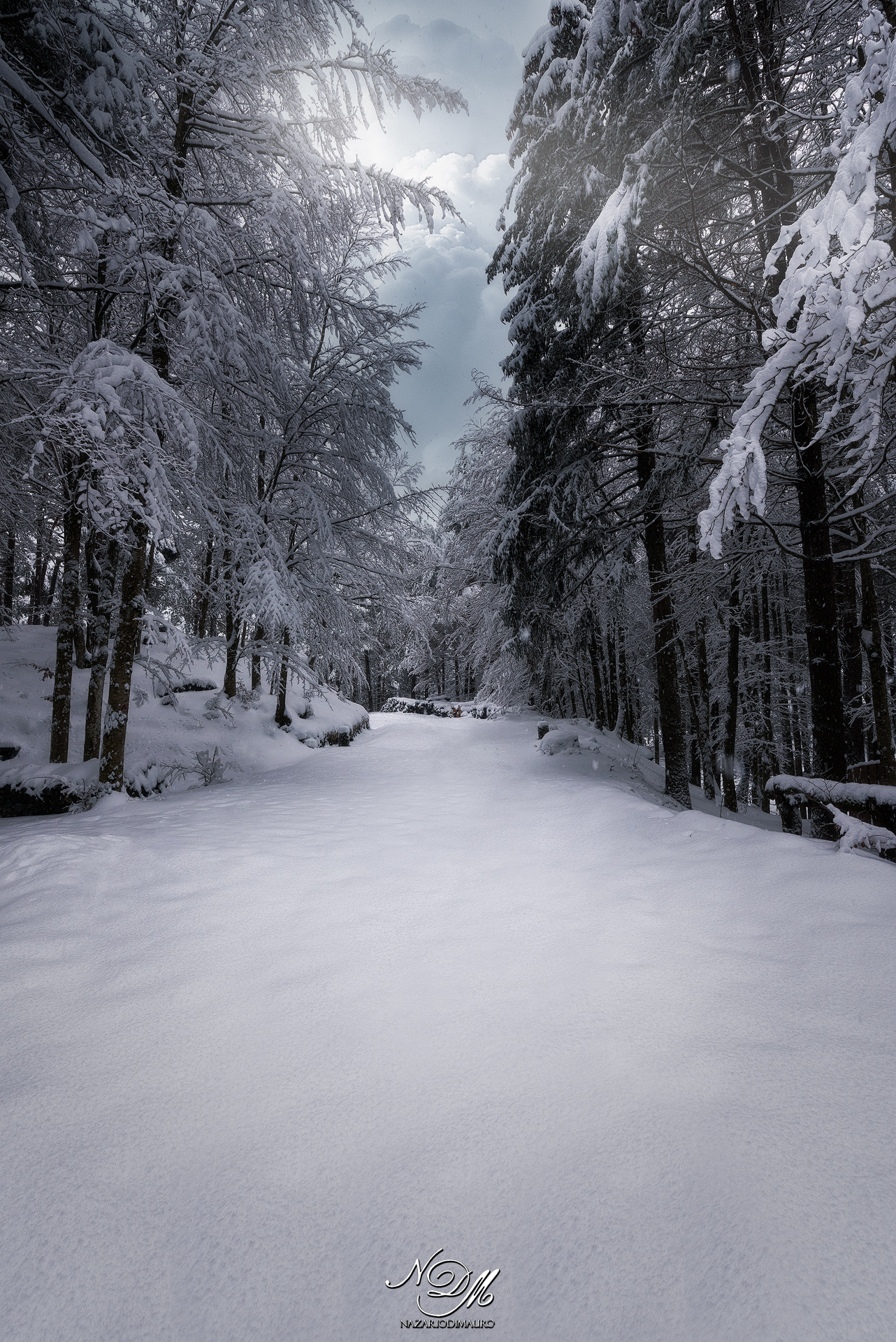 Liguria... land with a thousand landscapes