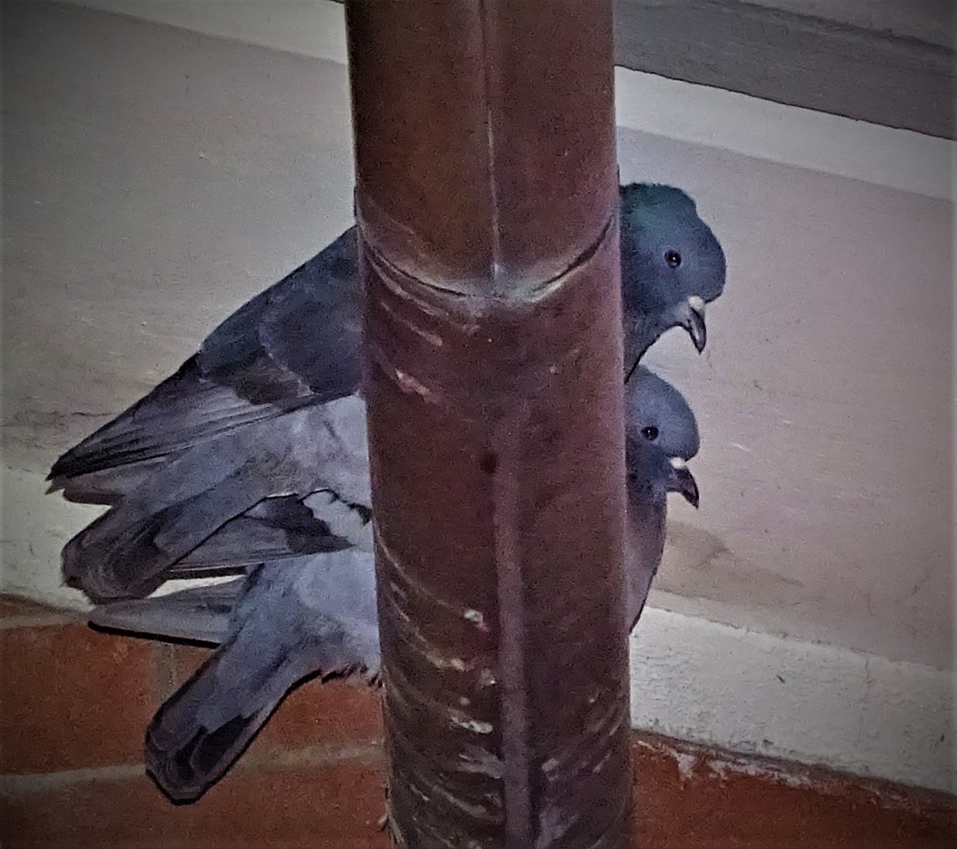 stiamo vicini..vicini..