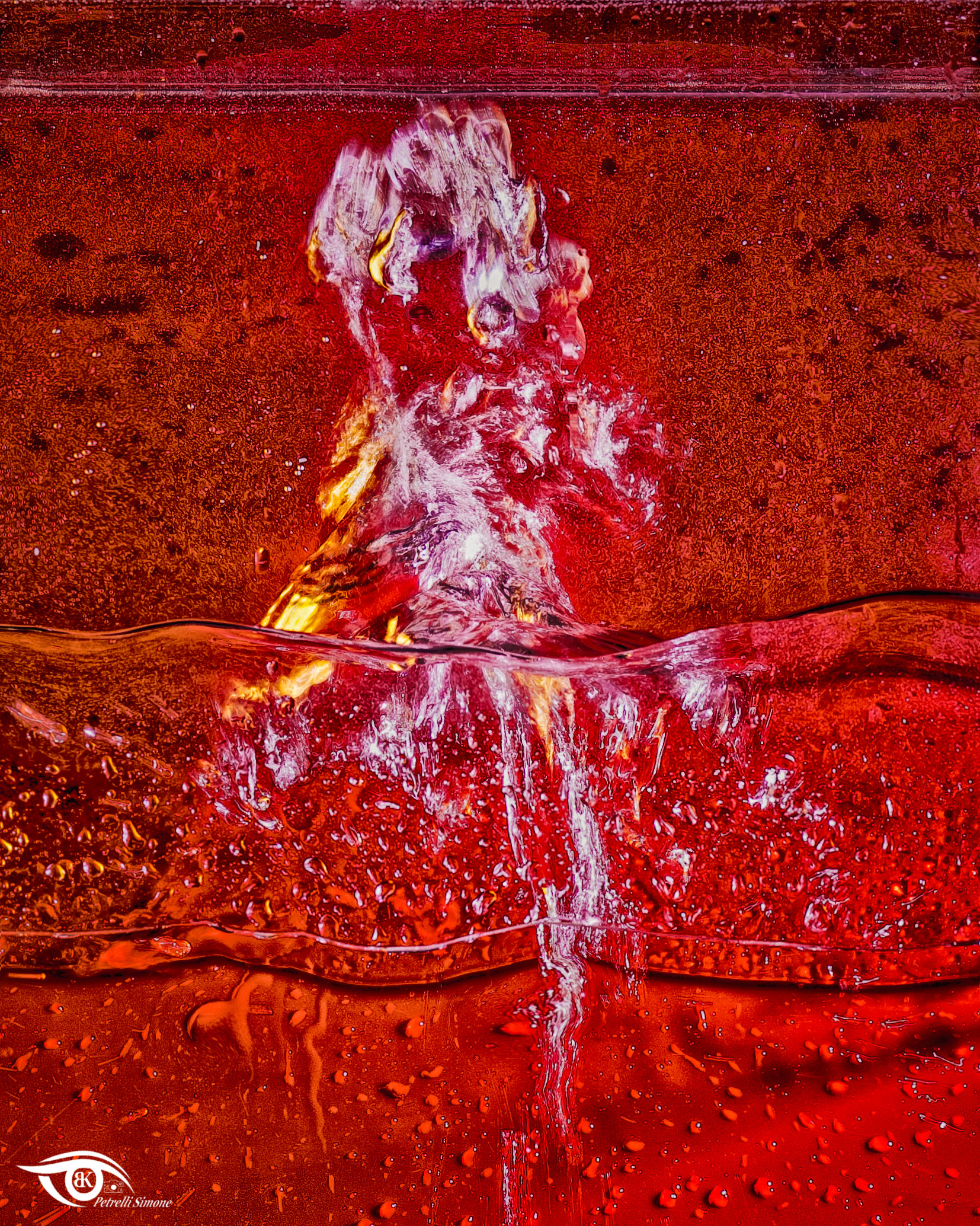 the shape of water 2