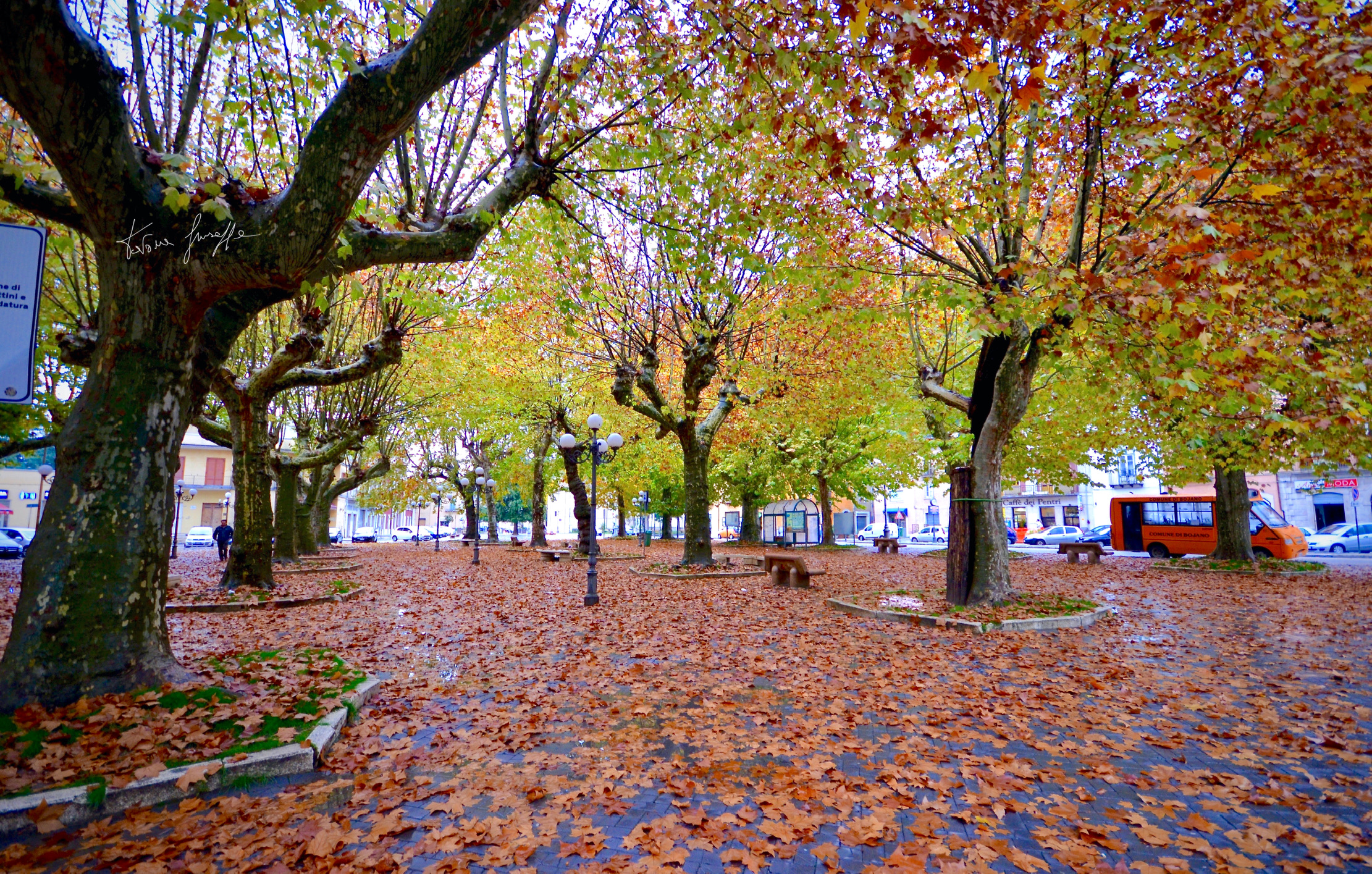 The colors of autumn