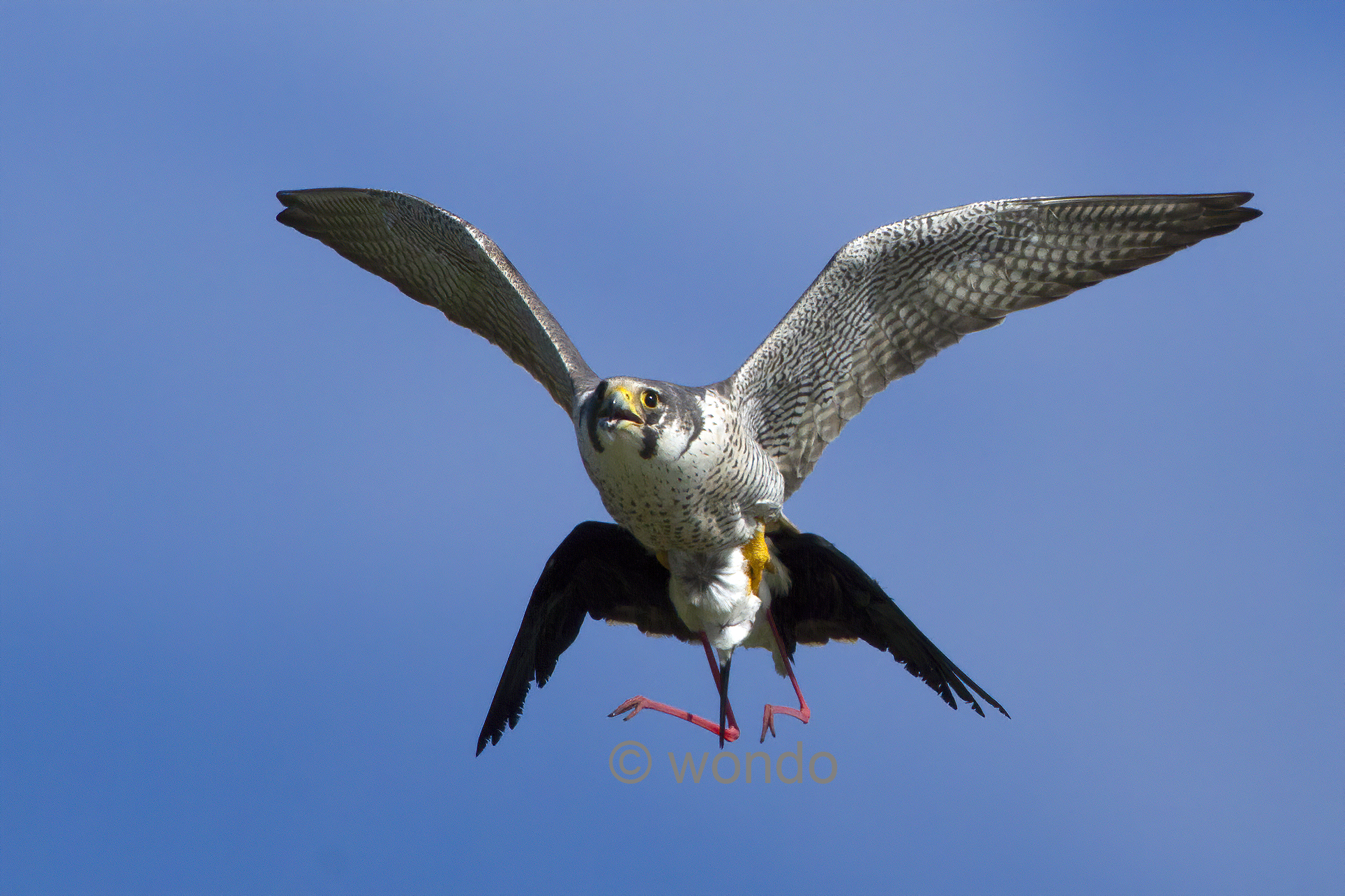 vecchio scatto, nuovi software.....