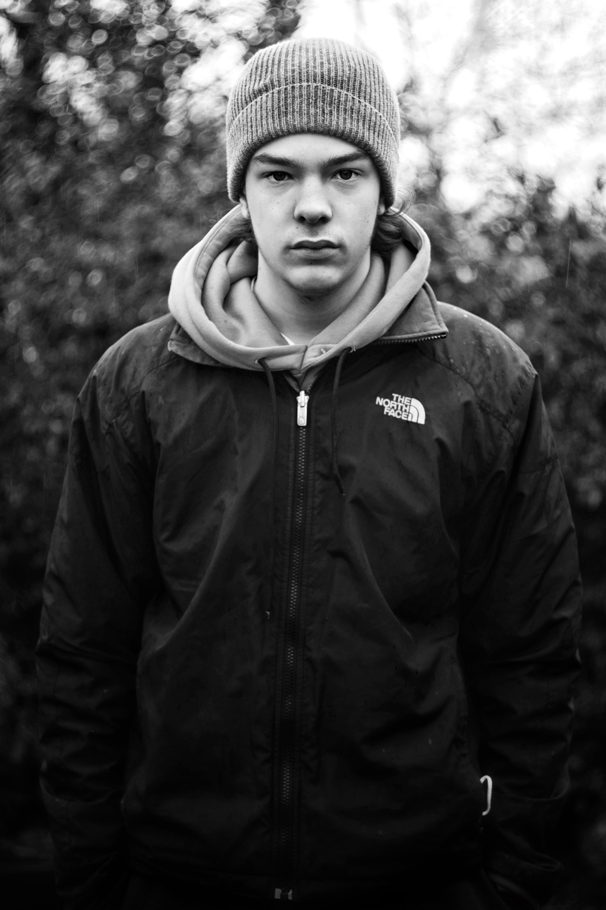 Boxer