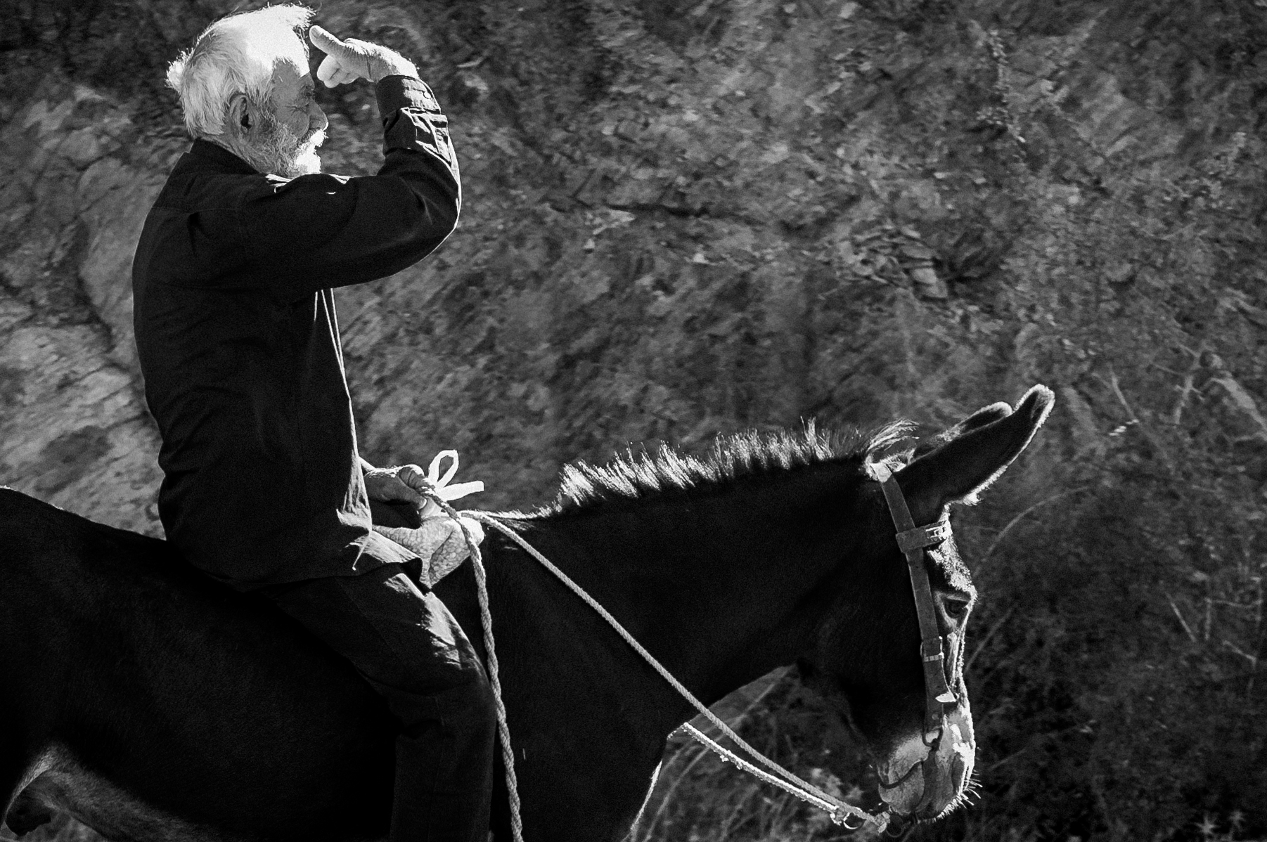 L'incertezza del futuro