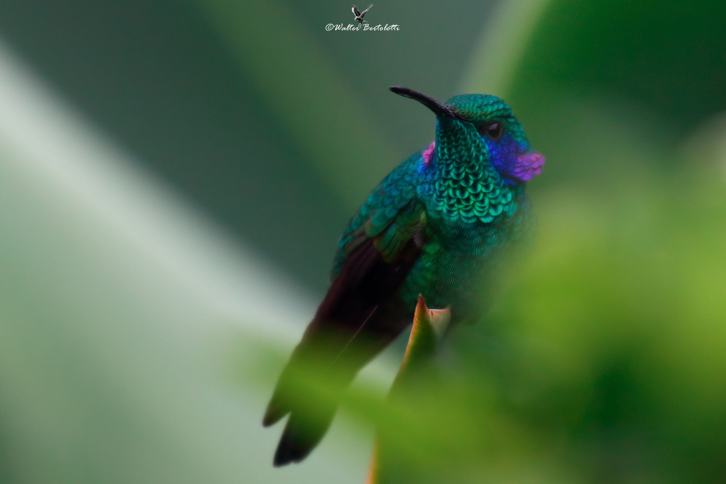 un momento di riposo