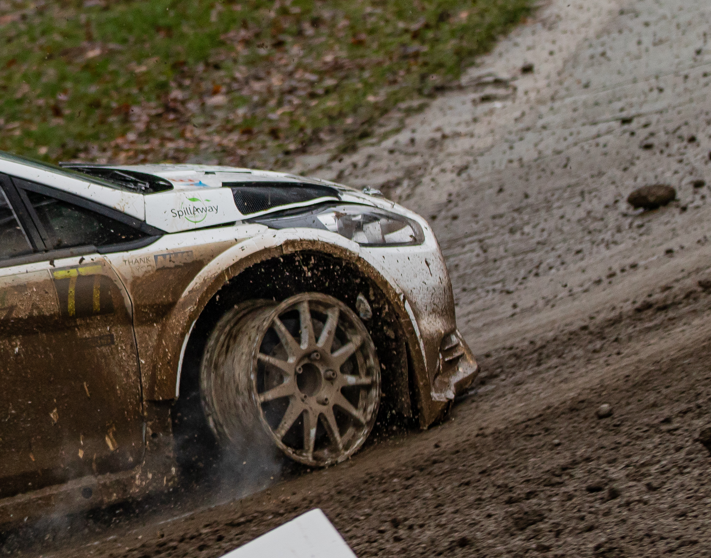 WRC Monza 2020 Ford Fieta n 77 Tom Williams