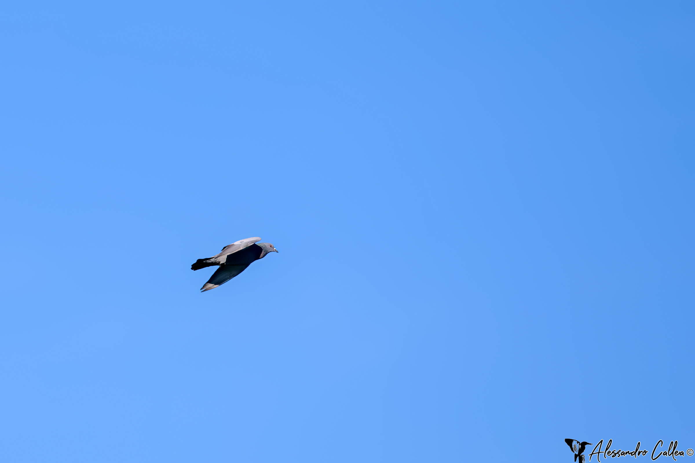 Prohibitive distances...