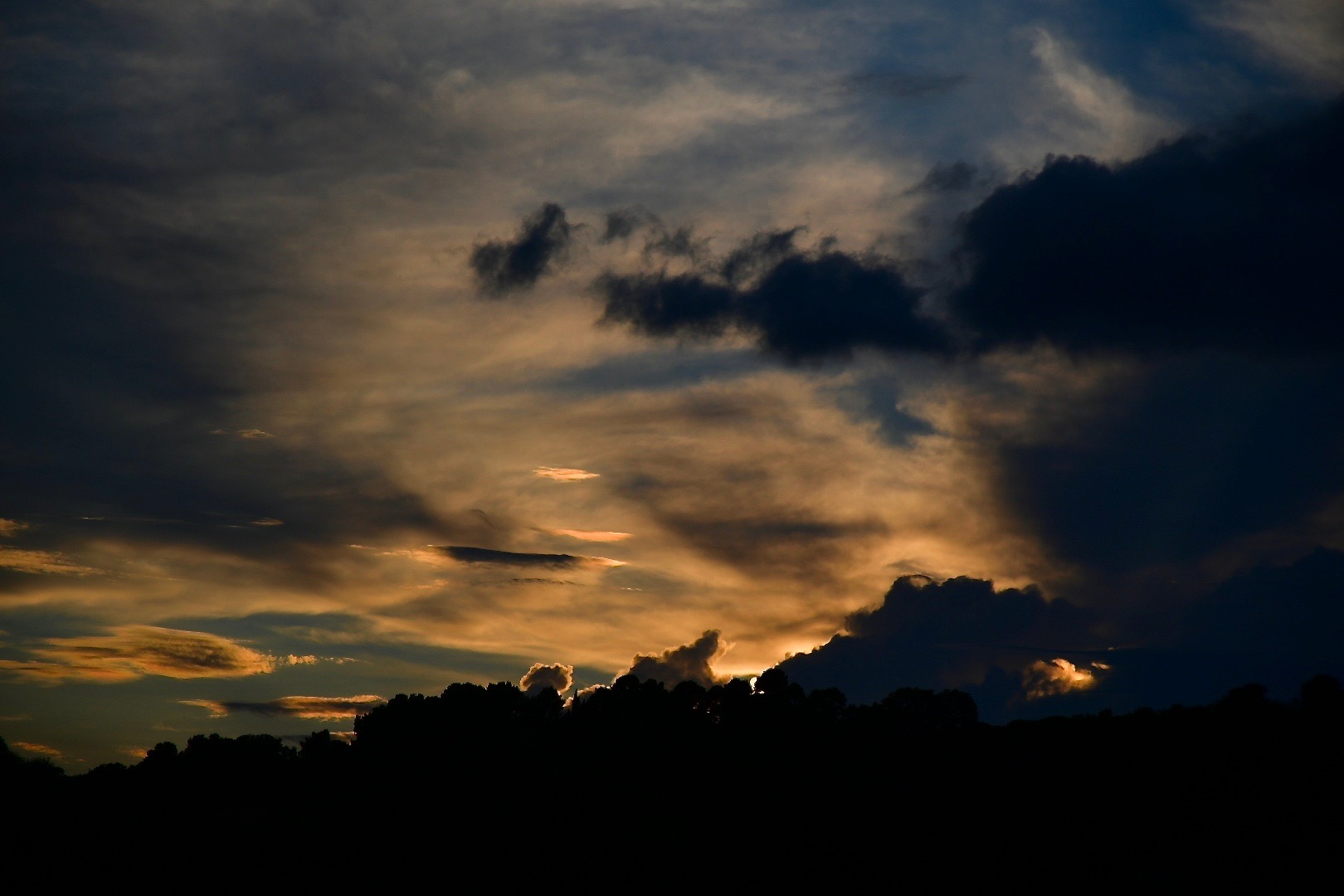 Untitled Photo