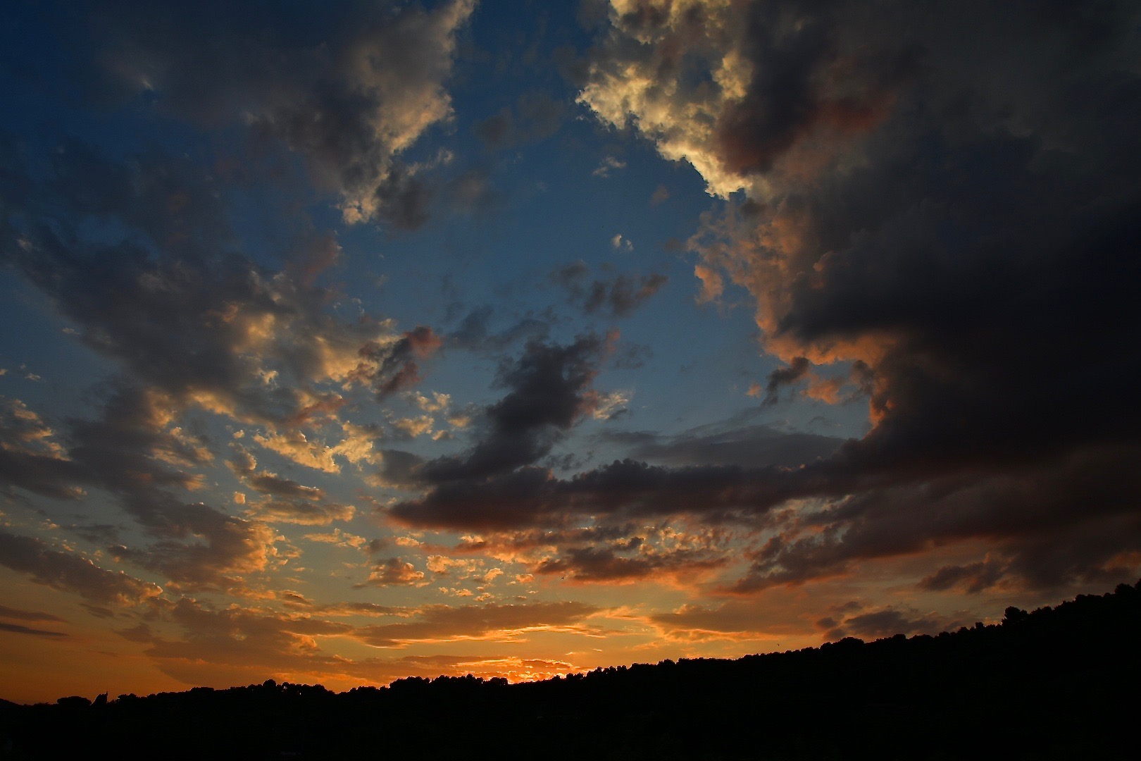Untitled Photo