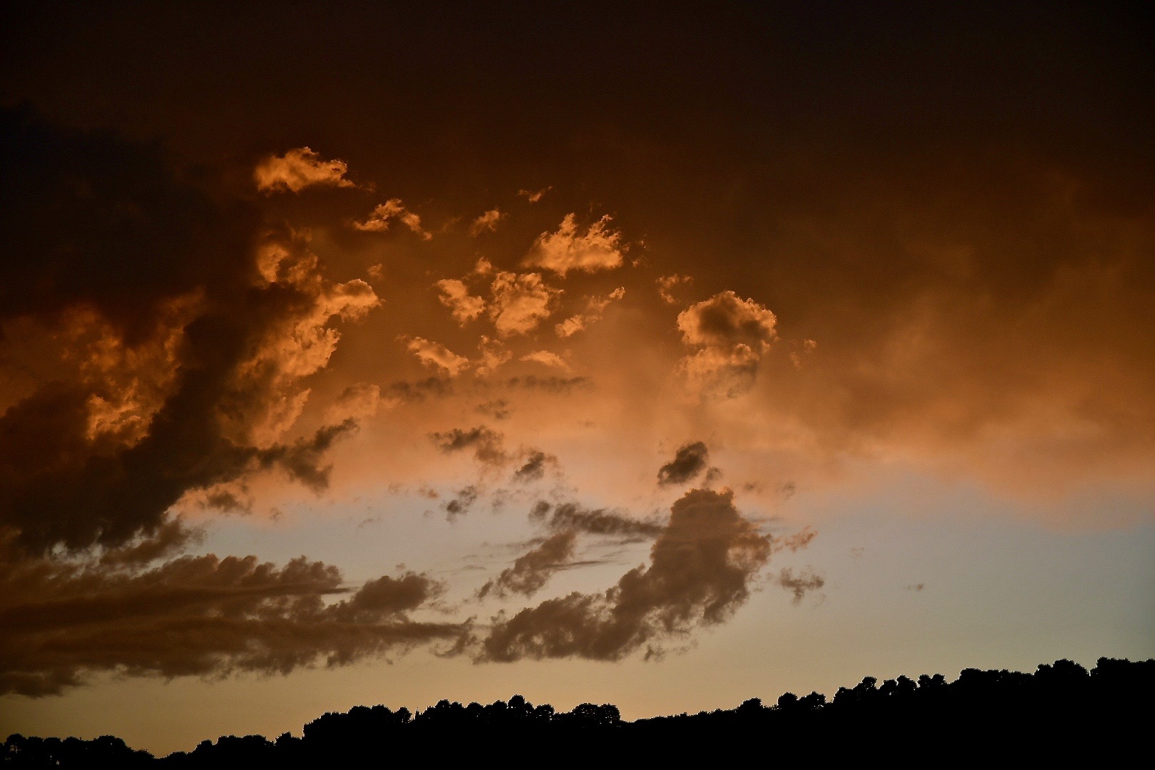 Untitled Photo