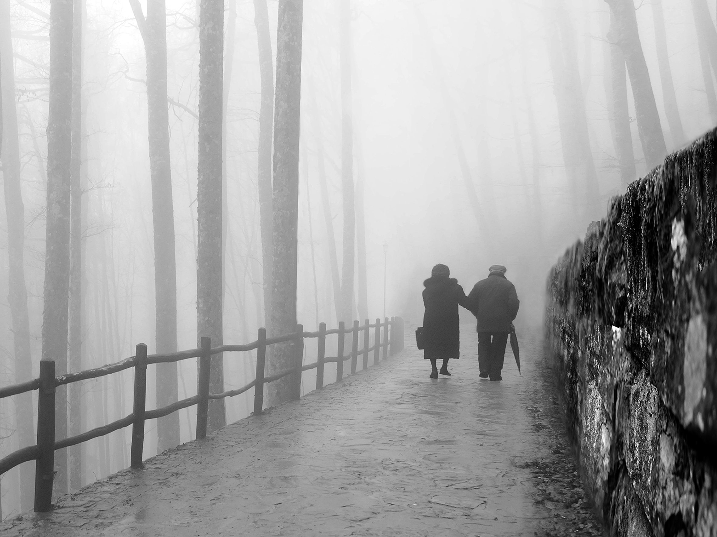 Il viale del tramonto