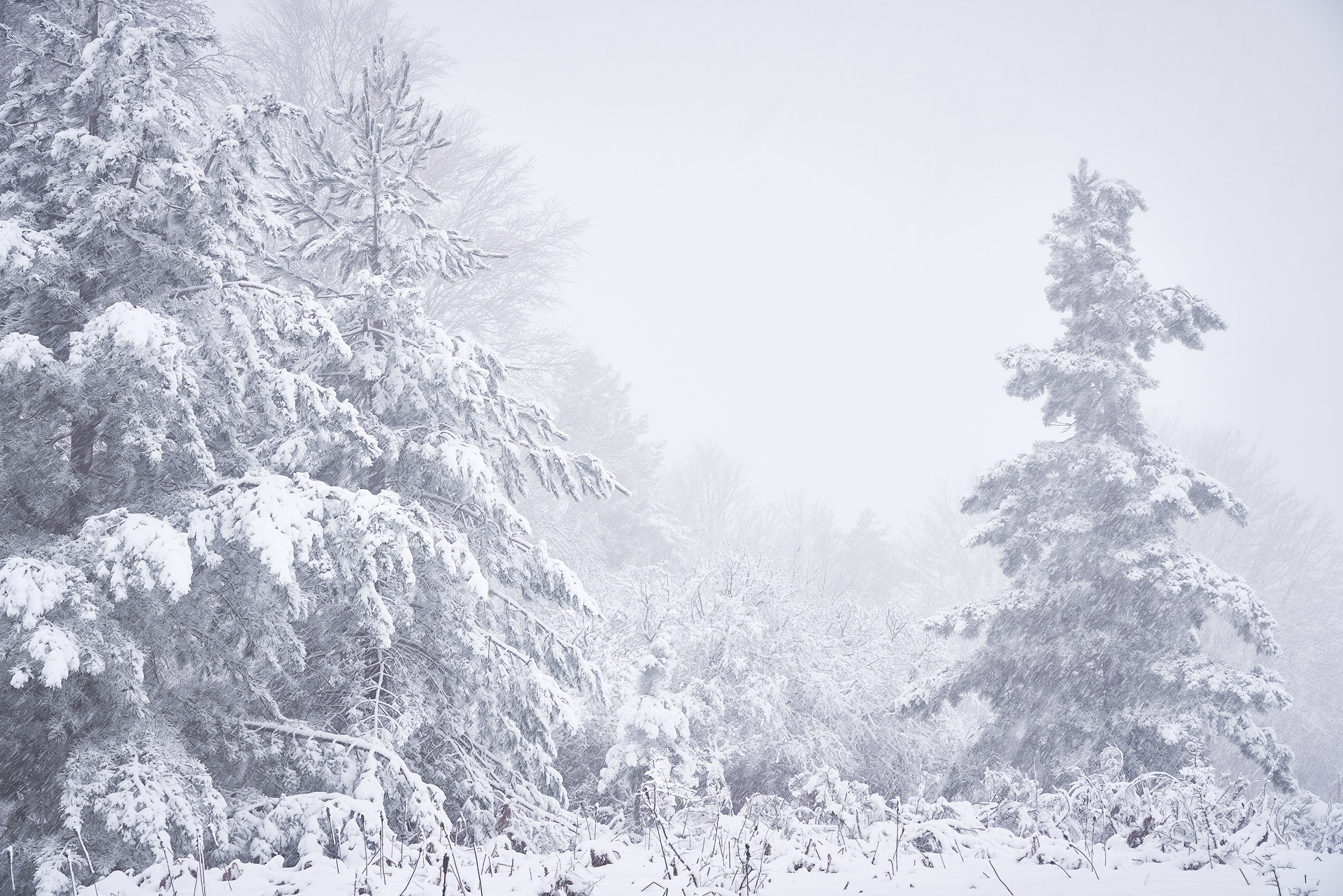 Southern Scandinavia