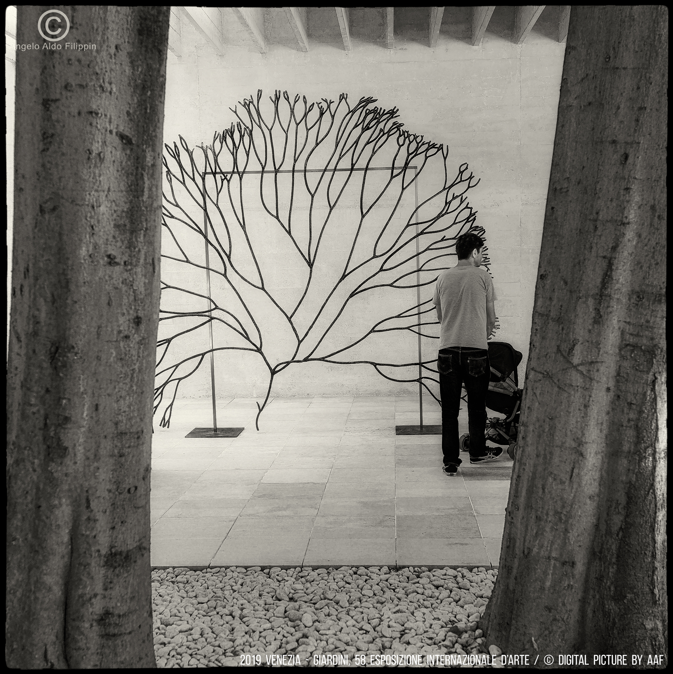 2019 Venezia, 58. Esposizione Internazionale d'Arte