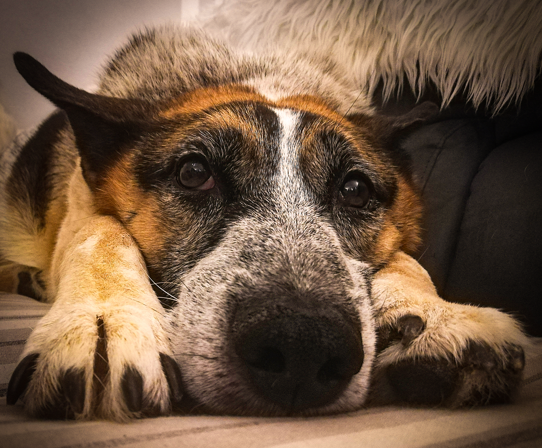 But isn't Santa coming this year?