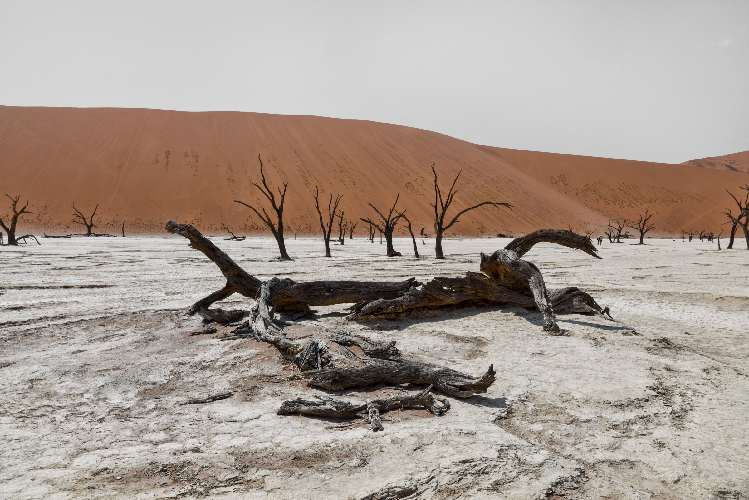Deadvlei_2