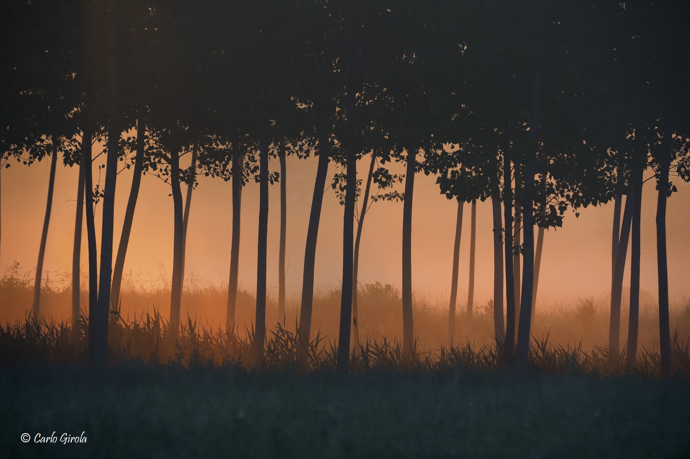 Alba nella vallata del Ticino