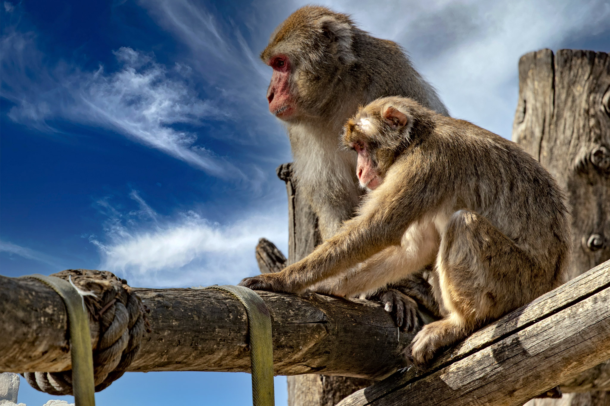 Guardando all'infinito