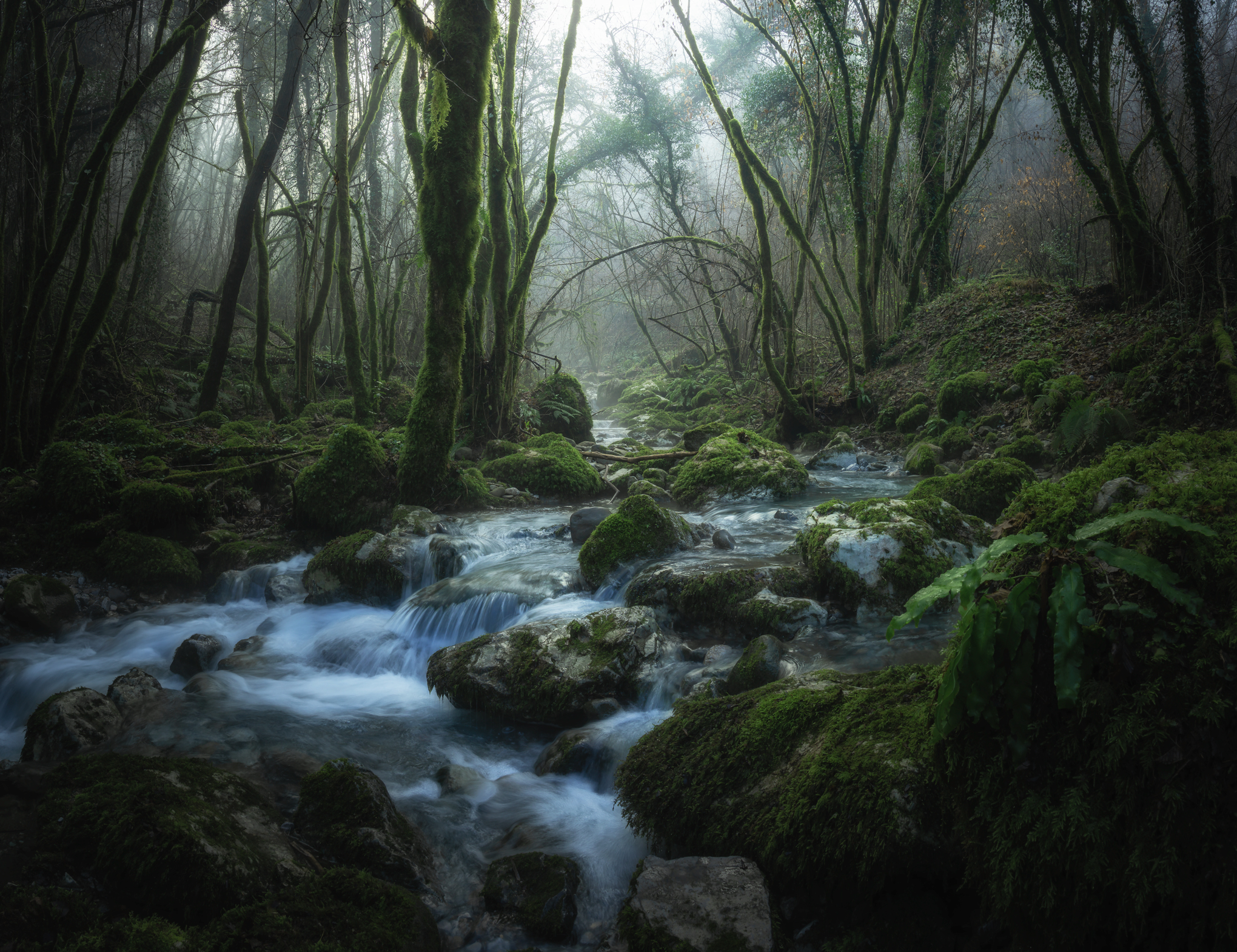 fabbriche di vallico