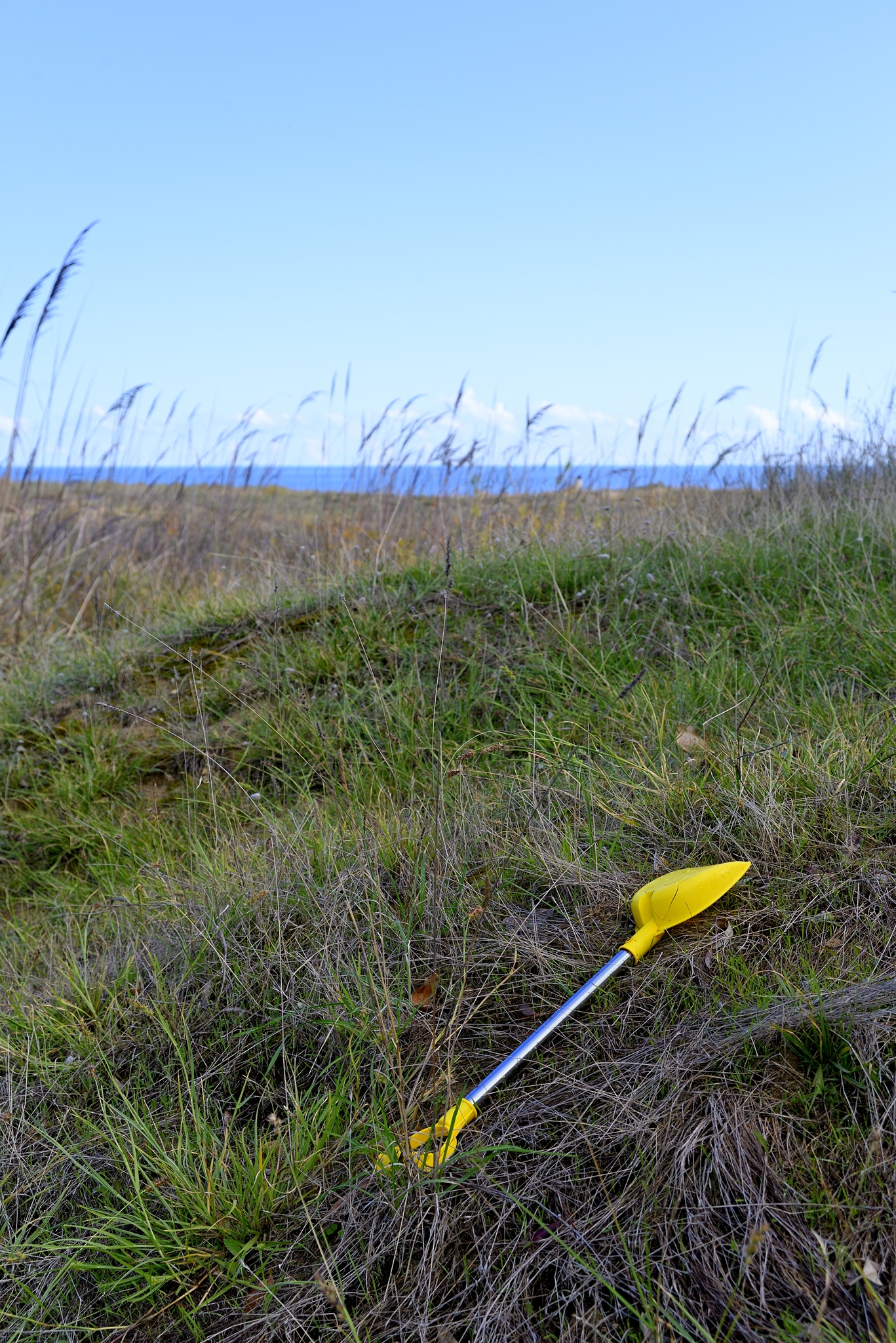 Pausa caccia al tesoro