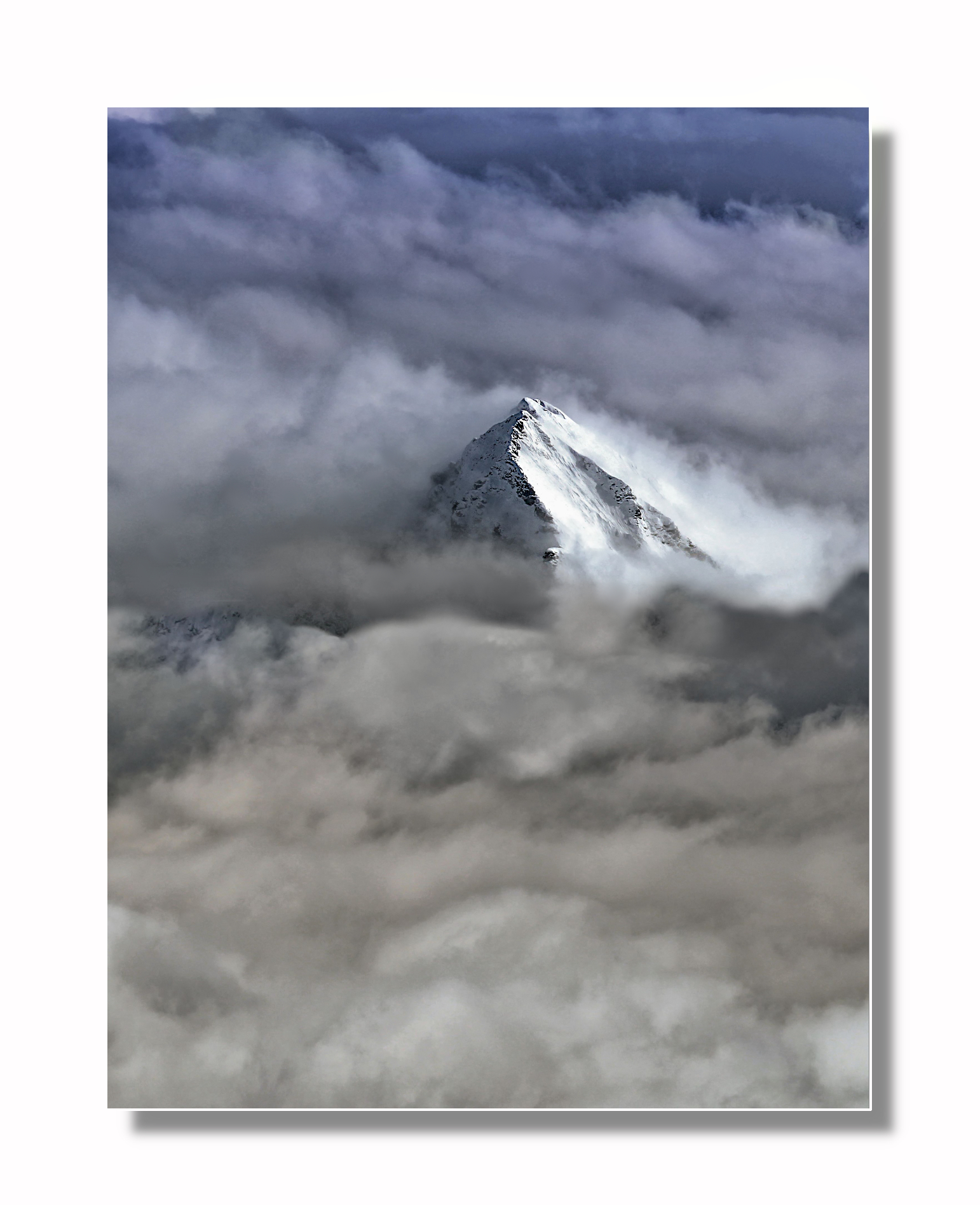 Febbraio. Il Tagliaferro