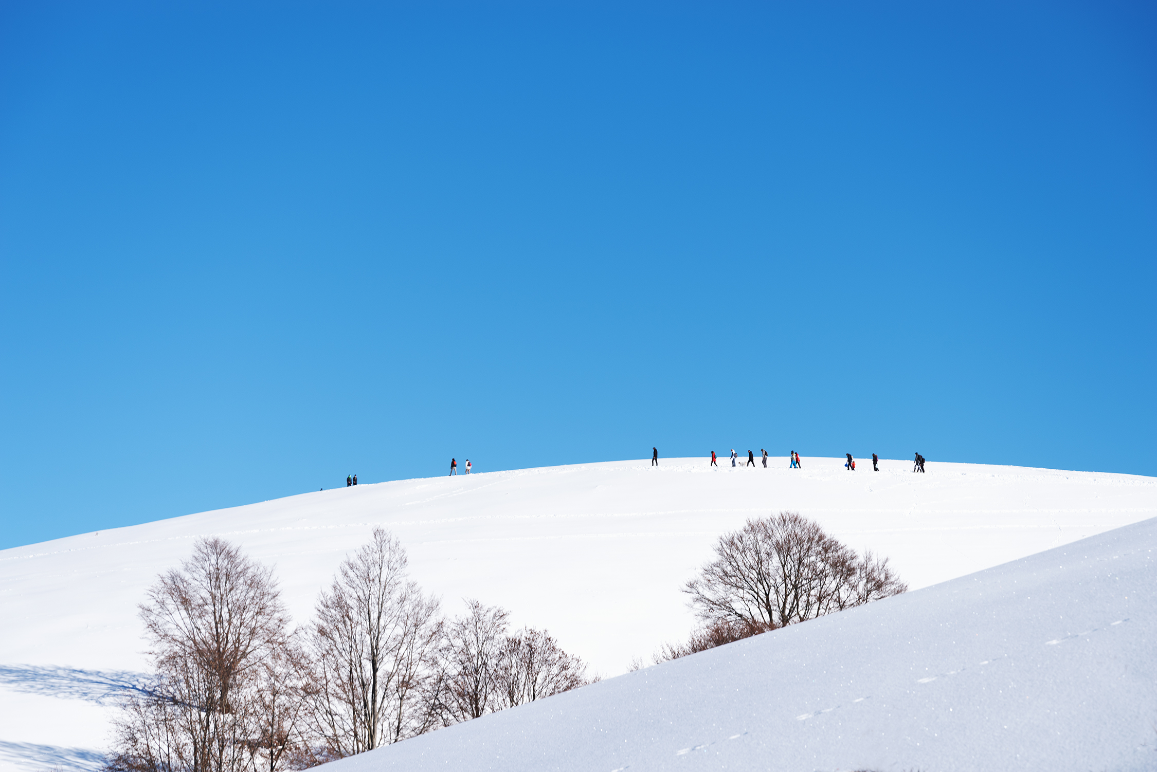 The shapes and colors of freedom