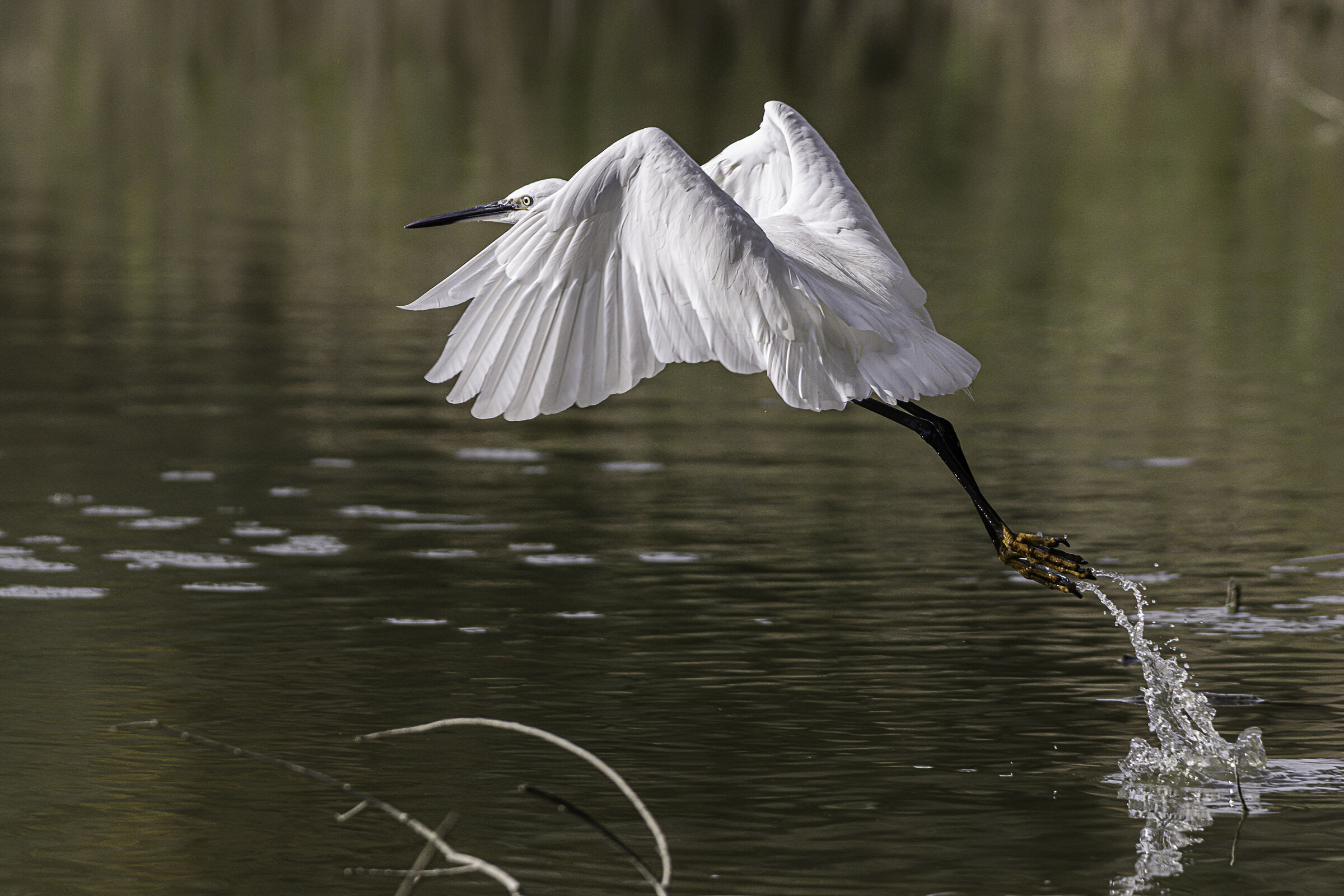 prendiamola di slancio!
