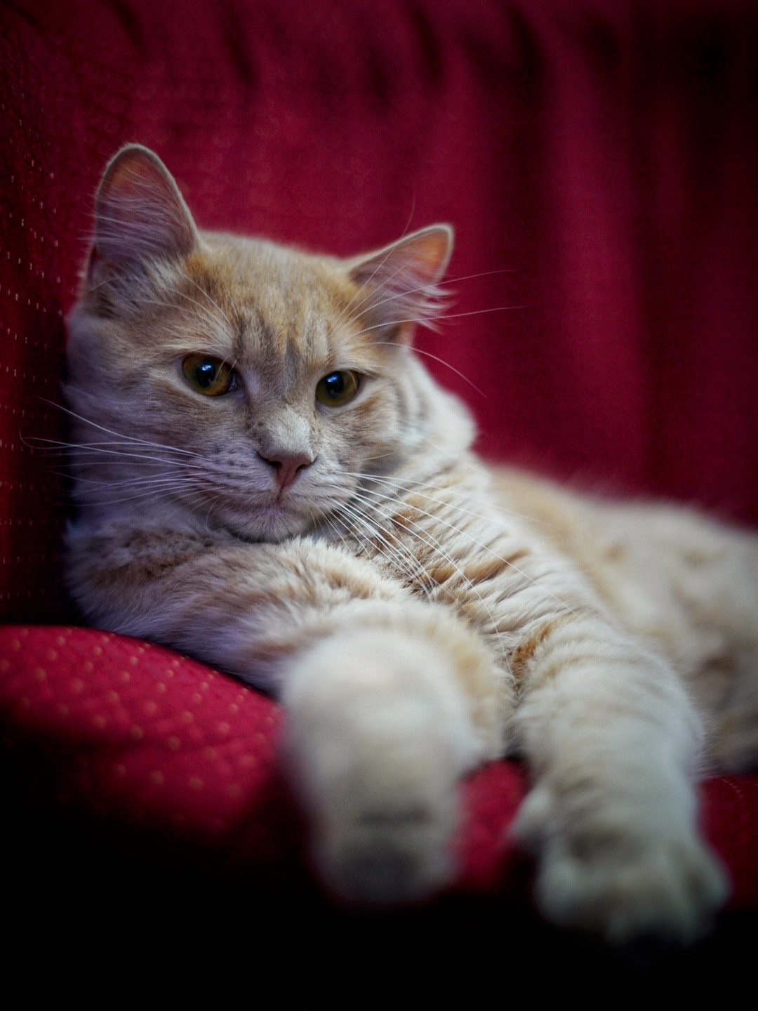 Romeo