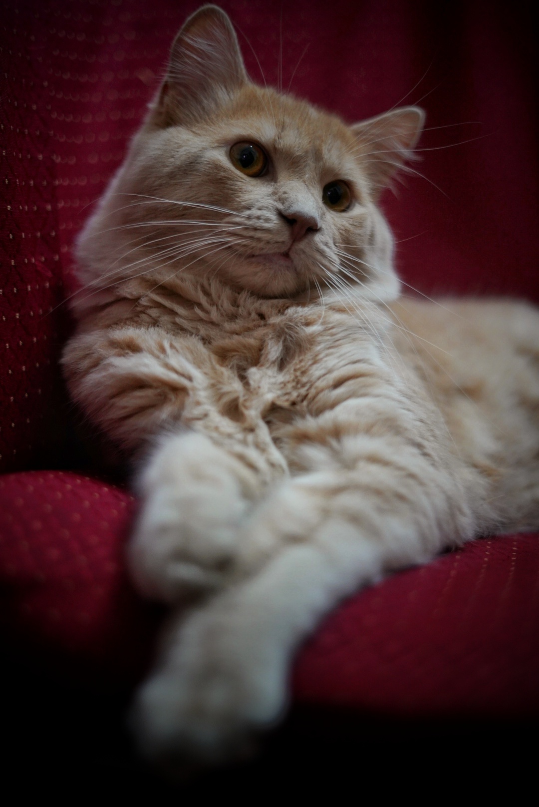 Romeo