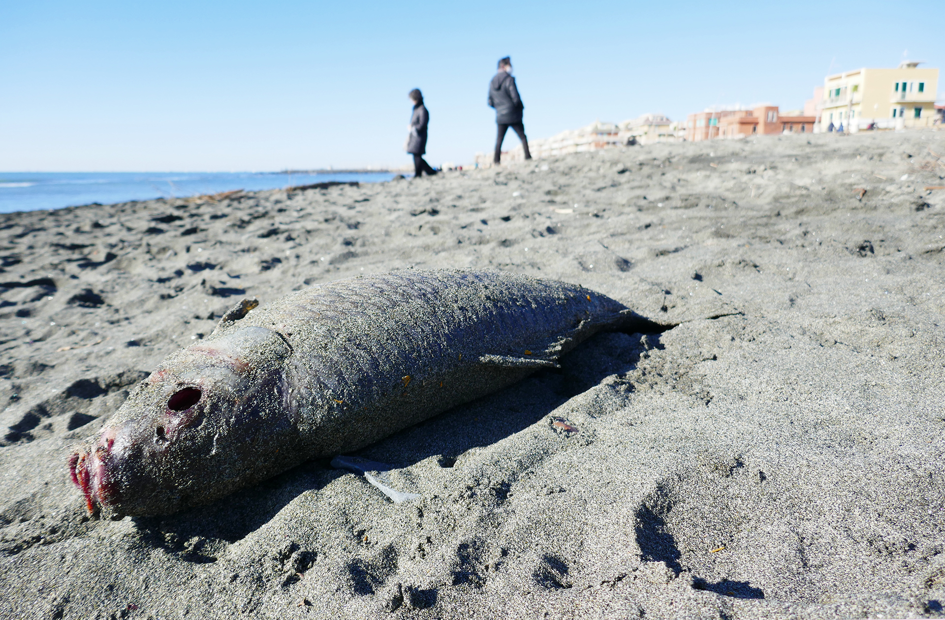 Walking on the beach