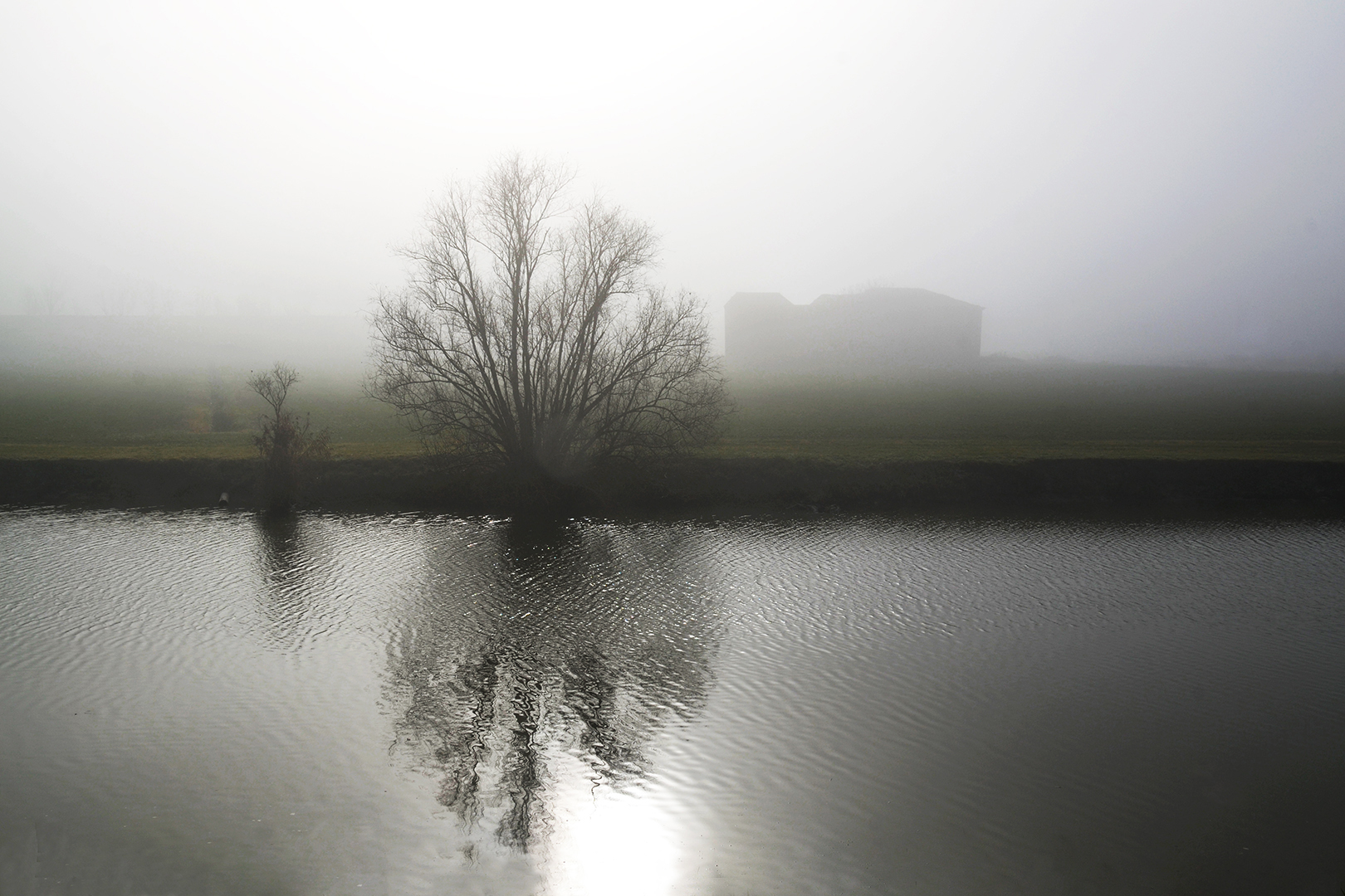 Along the Po River