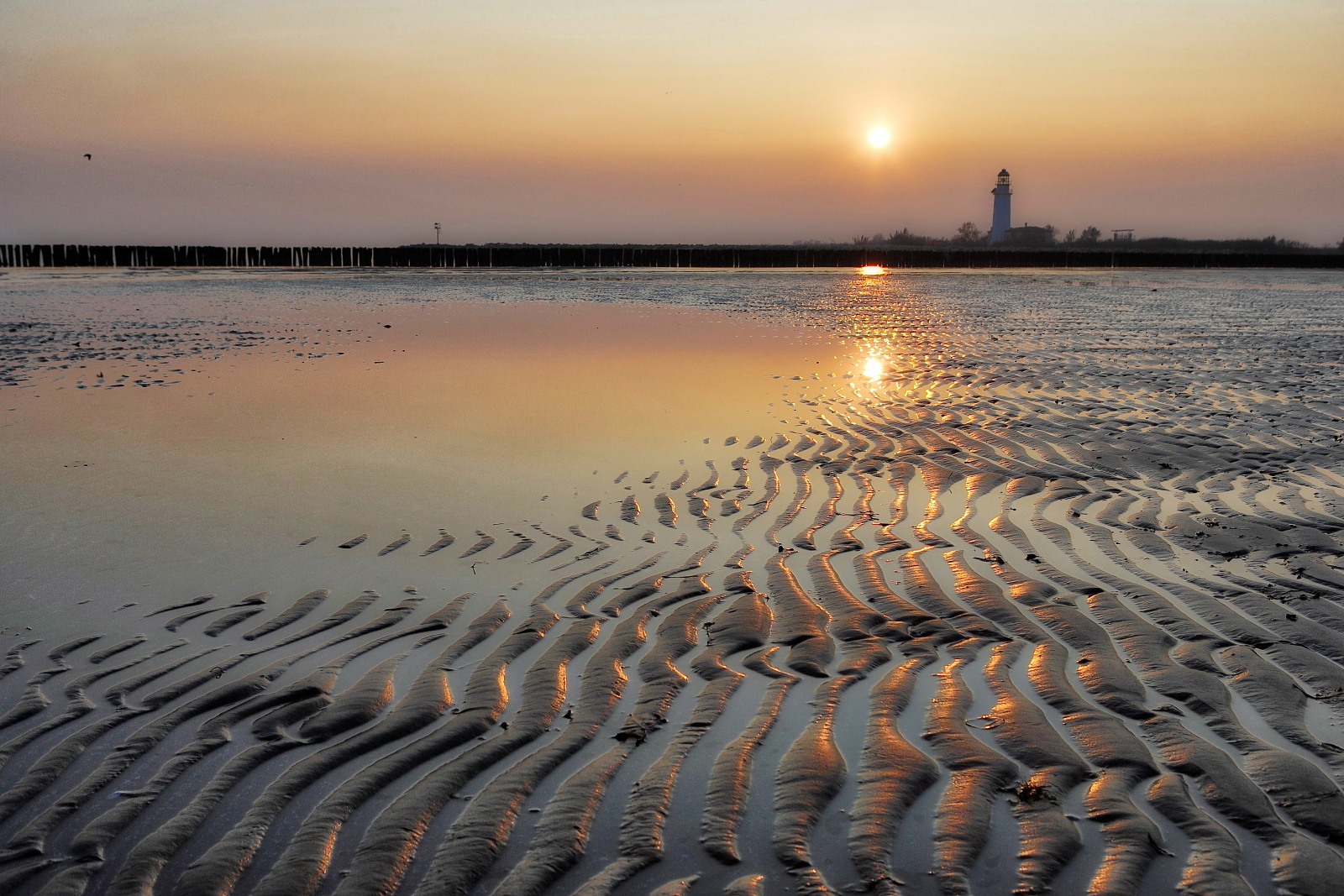 Meeting place... with themselves. Gorino Sullam.