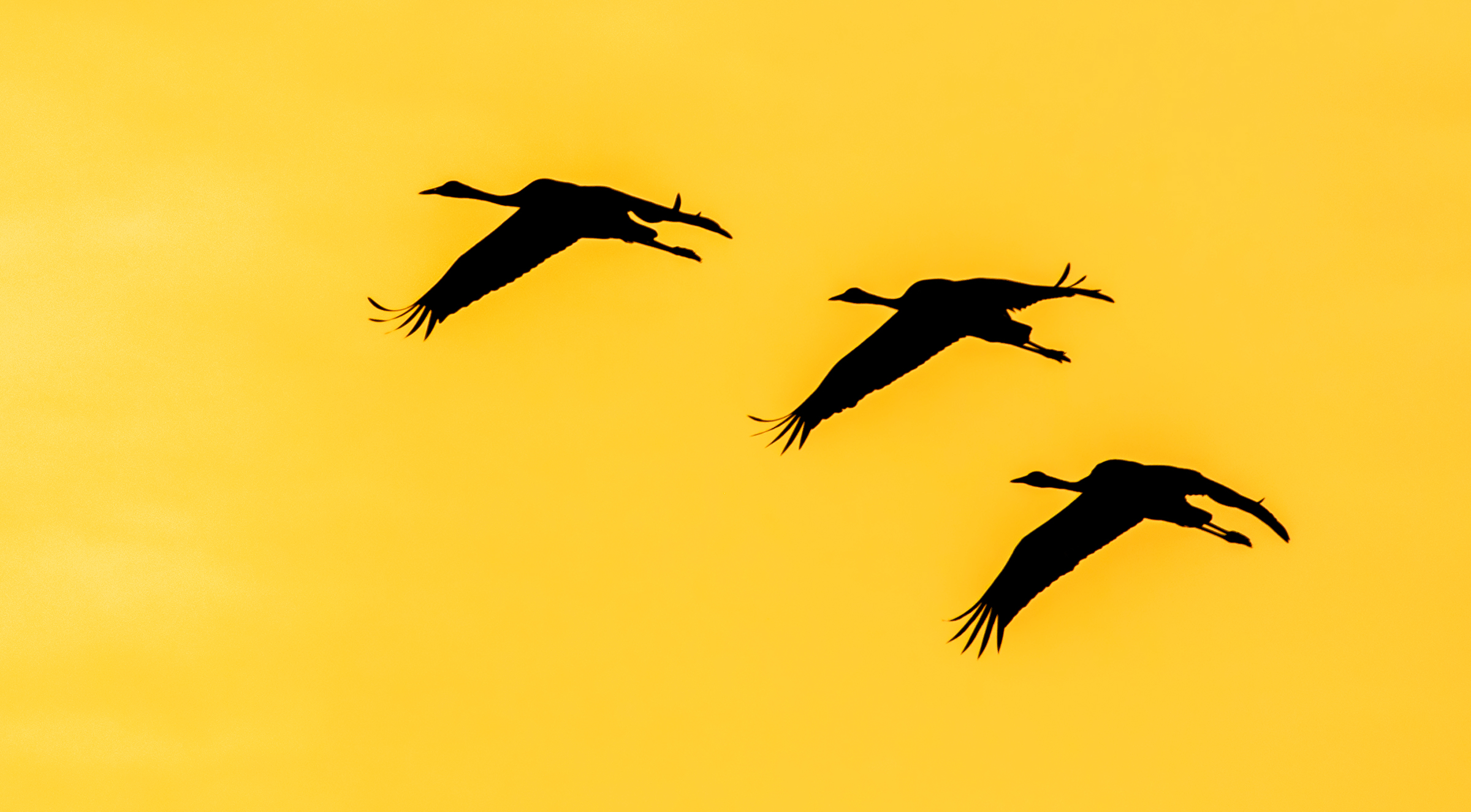 gru comuni silhouette