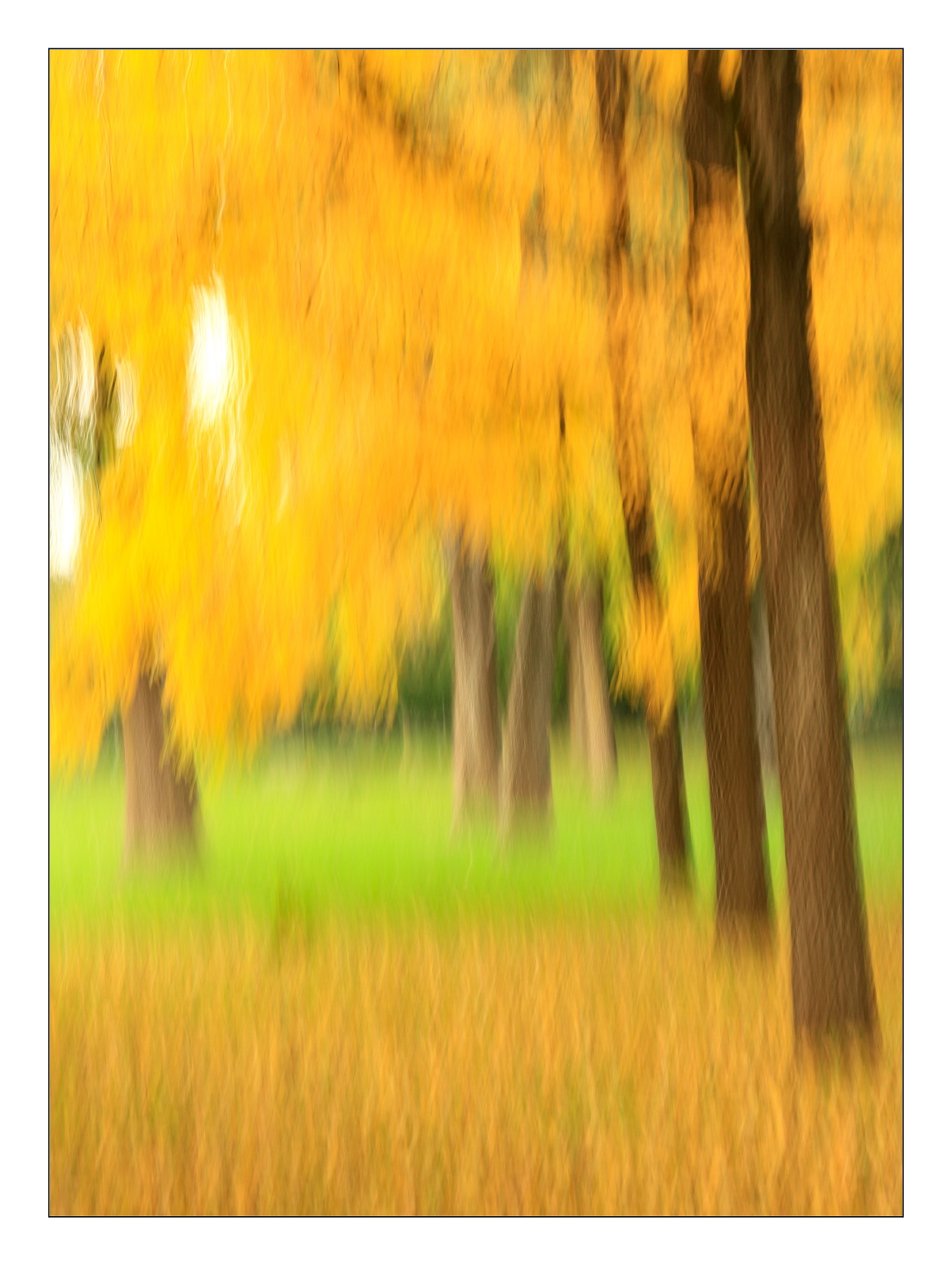 Impressioni d'autunno_02