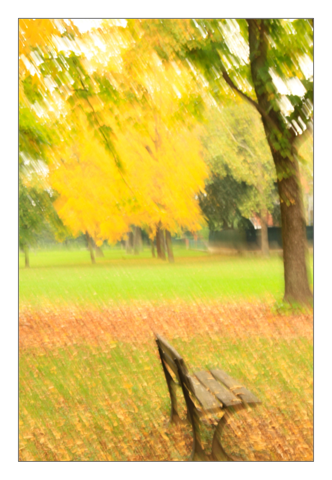 Impressioni d'autunno_01