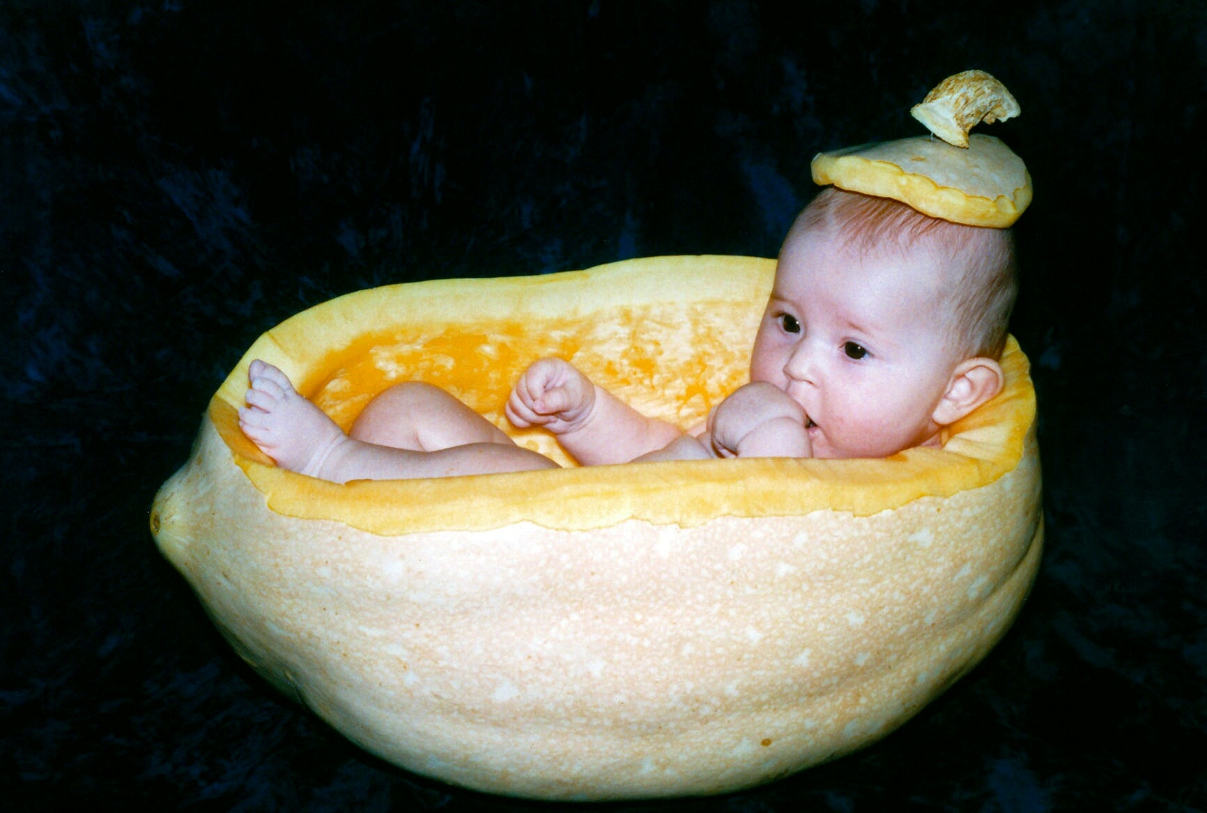 Bimba nella zucca
