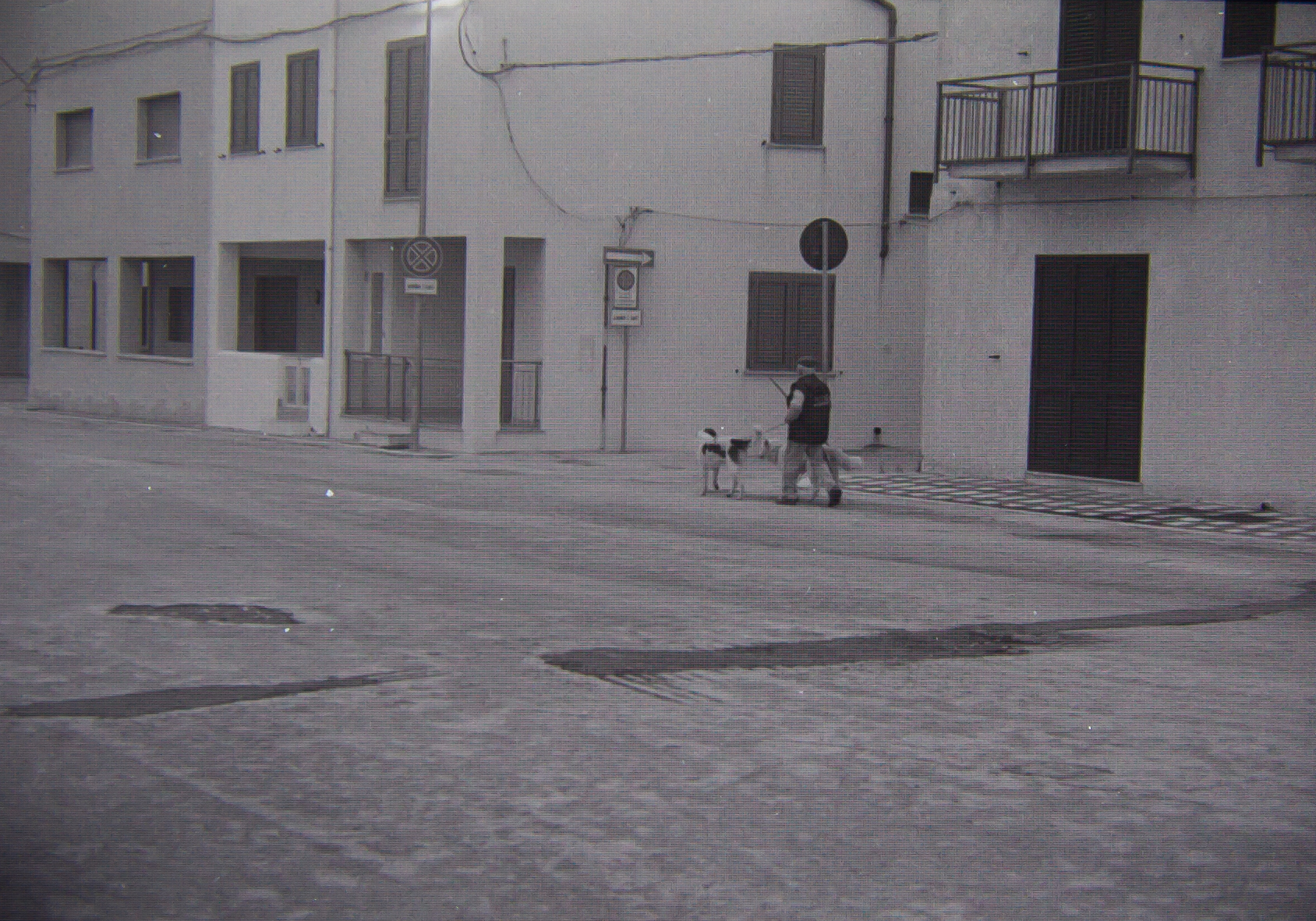 Dogman (not the real one)